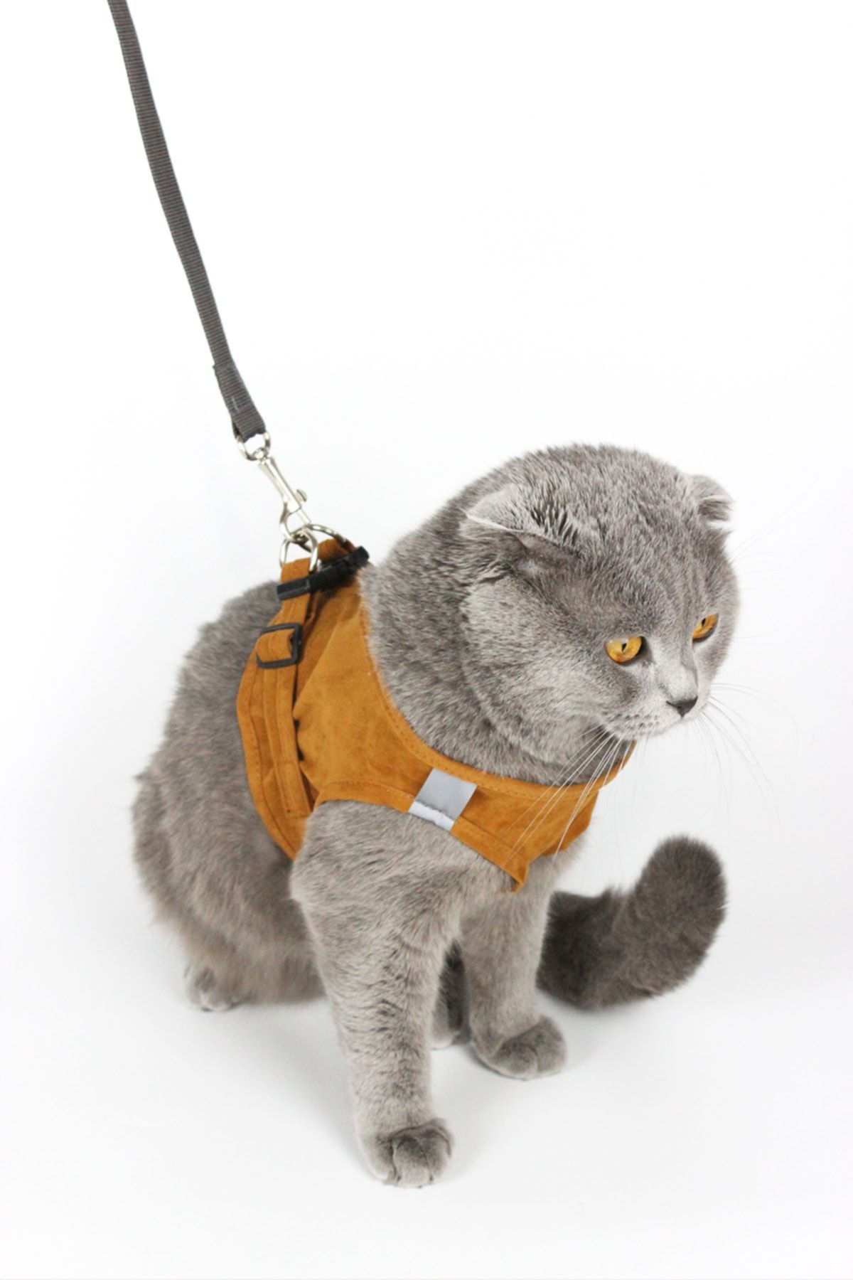 Petköy Kedi Gezdirme Tasması - Kedi Tasması Göğüs Tasma Seti Yumuşak Süet Kumaş Taba Renk