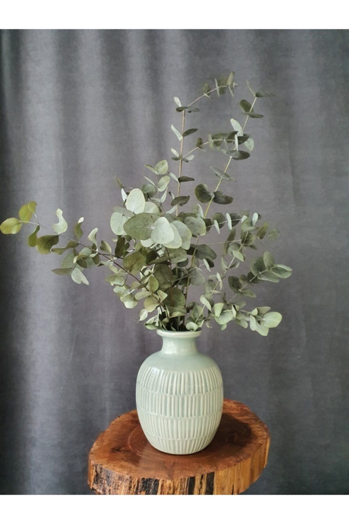 Decolass Kuru Çiçek Şoklanmış Okaliptus Demeti Yeşil (50 cm)