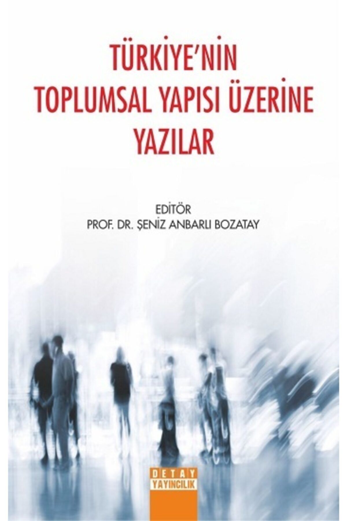 Detay Yayıncılık Türkiyenin Toplumsal  Uyumlu Yapısı Üzerine Yazılar - Prof. Dr. Şeniz Anbarlı Bozatay