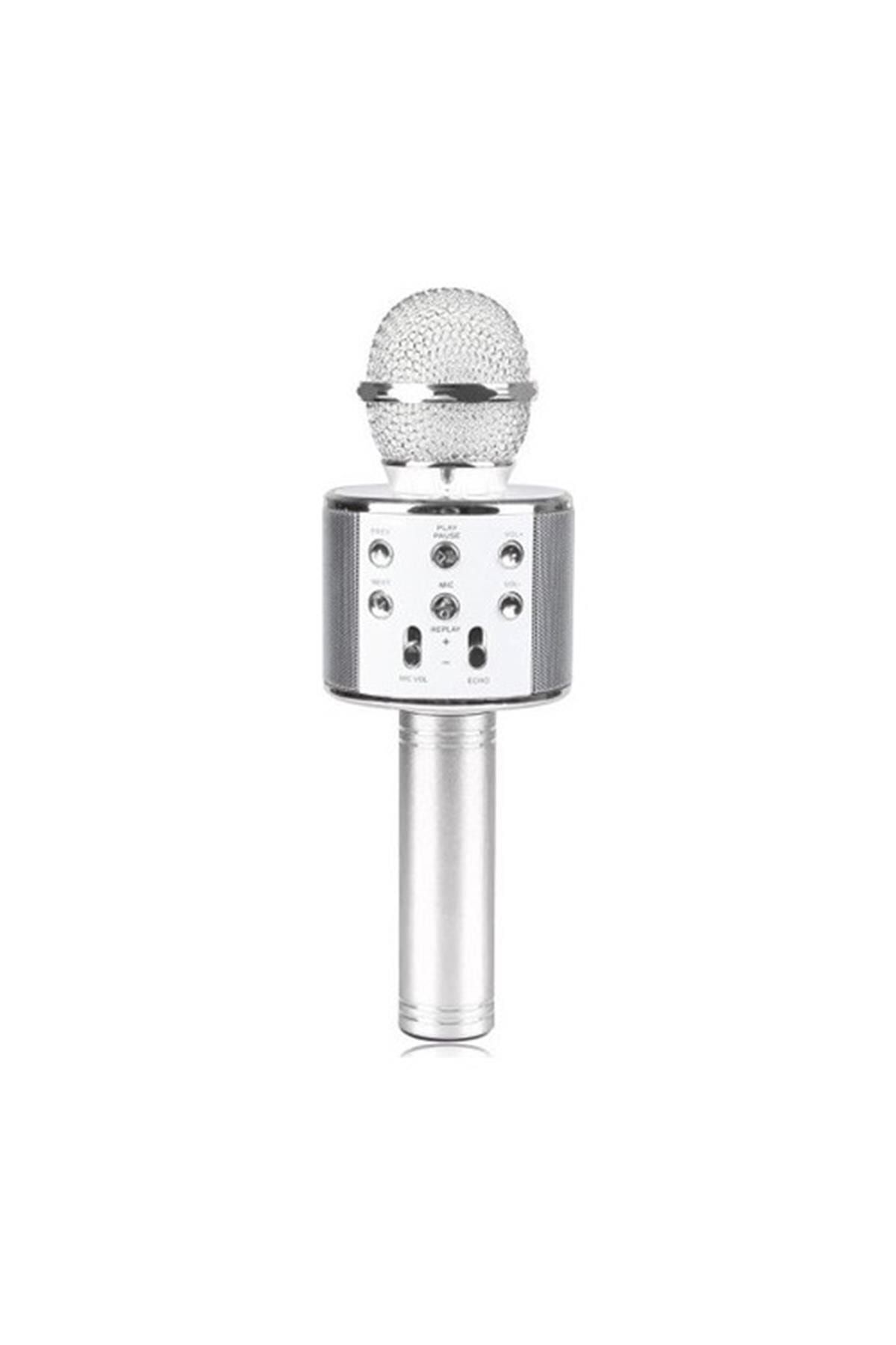 Genel Markalar Wster Karaoke Mikrofon Dahili Hoparlörlü Usb Flash Destekli Ws-858