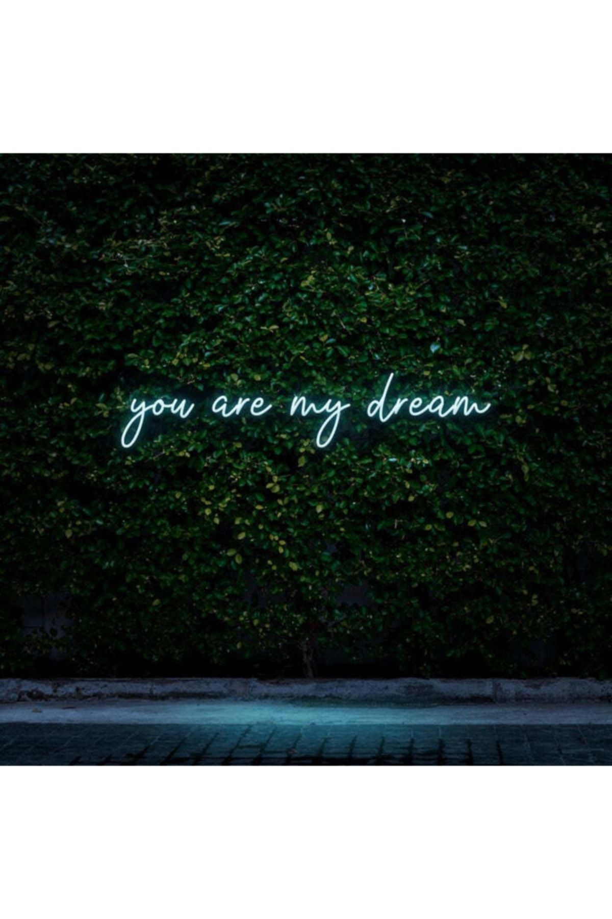 HYL Neon Led Işıklı You Are My Dream Yazısı
