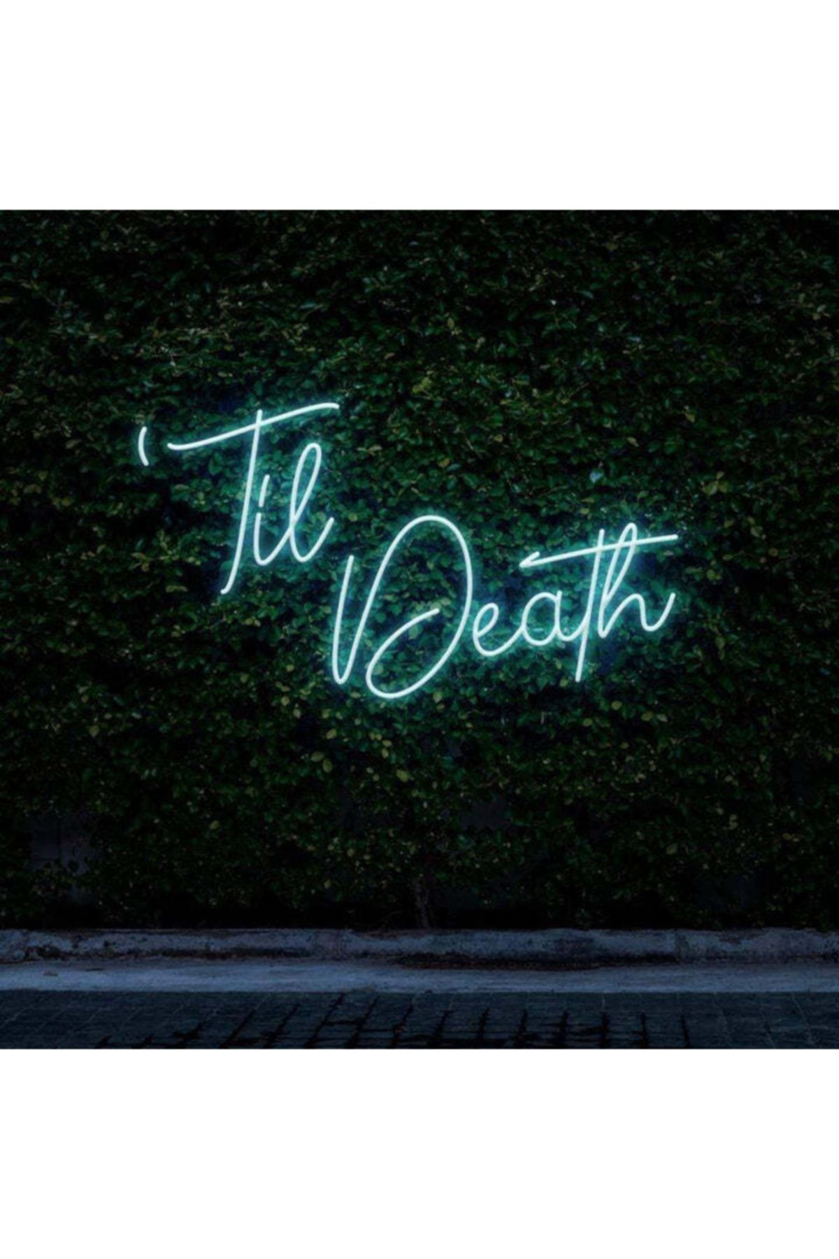 HYL Neon Led Işıklı Til Death Yazısı