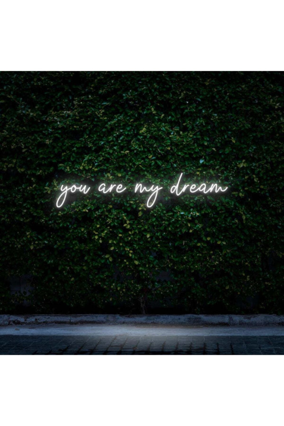 HYL Neon Led Işıklı You Are My Dream Yazısı