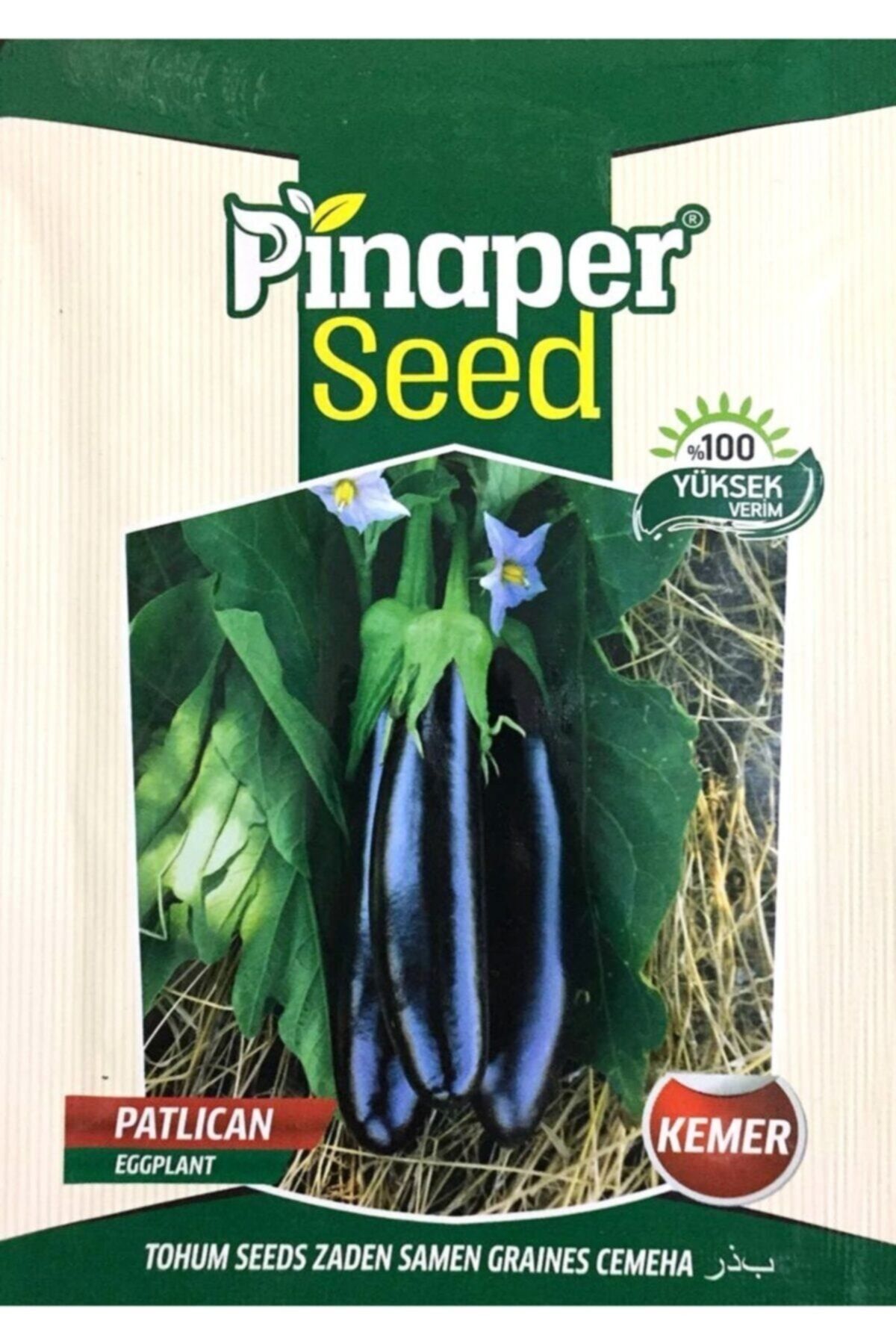 Pinaper Seed Patlıcan Tohumu, Kemer 27 Çeşidi, Ortalama 1500 Tohum, Yerli Üretim