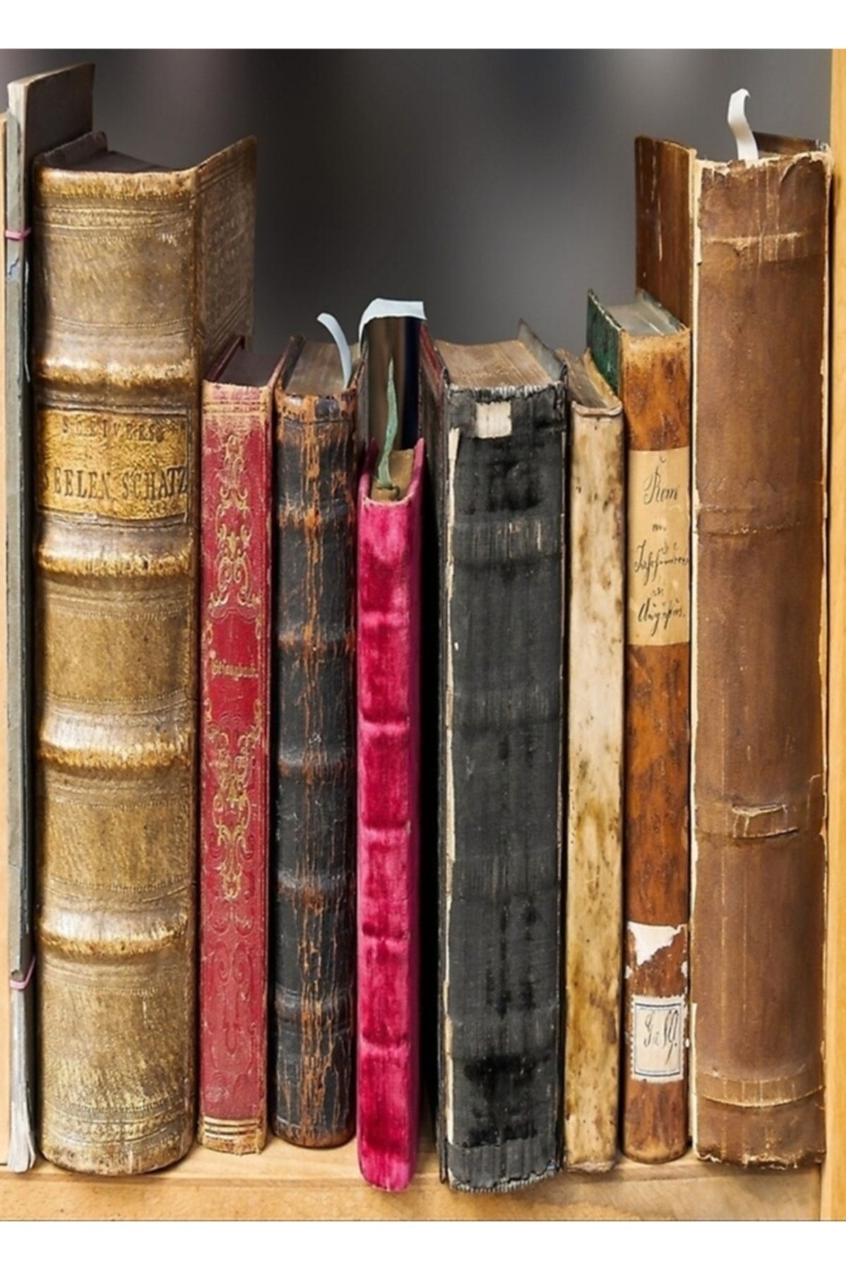 Universal Kitaplar Eski Edebiyat Sayfaları Kitap Kitaplık Tablo Ahşap Poster Dekoratif