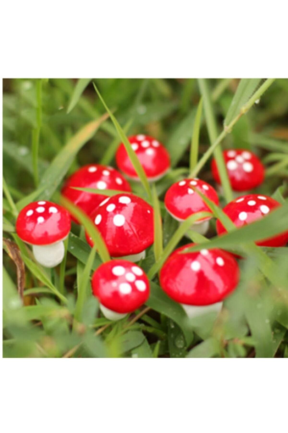 KozmoParti 9 Adet Mini Kırmızı Mantar Peri Bahçe Dekor Saksı Süs