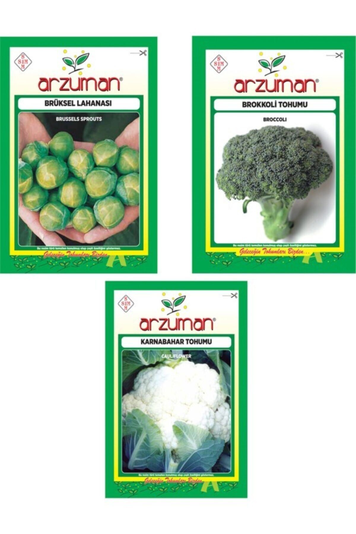 Karahasanoğlu Tarım Brüksel Lahana - Brokoli - Karnabahar 3'lü Tohum Seti