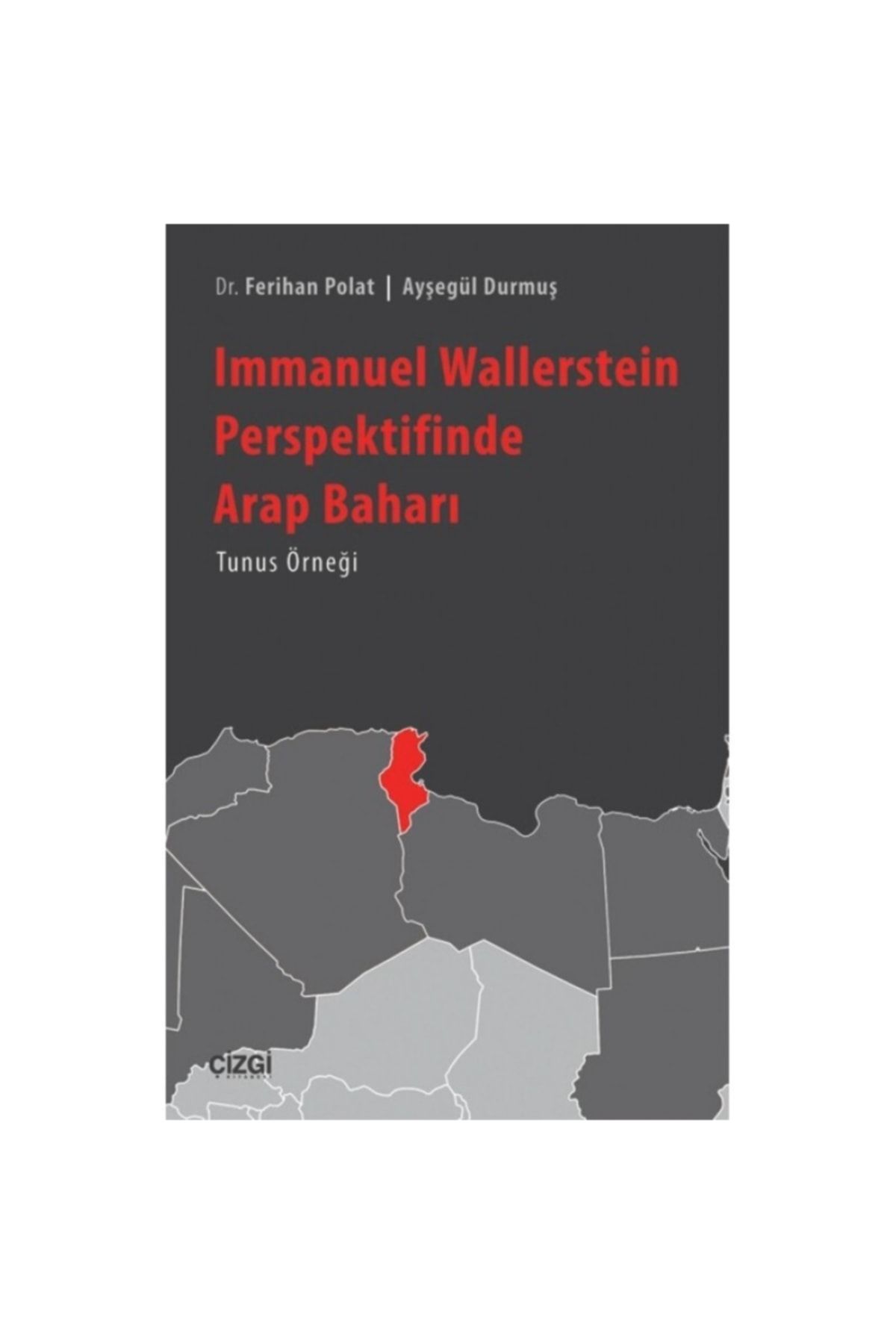 Çizgi Kitabevi Immanuel Wallerstein Perspektifinde Arap Baharı Tunus Örneği - Ayşegül Durmuş,ferihan Polat