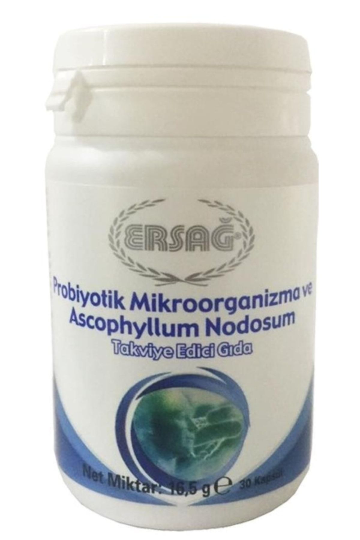 Ersağ Probiyotik Mikroorganizma Ve Ascophyllum Nodosum Içeren Gıda Takviyesi