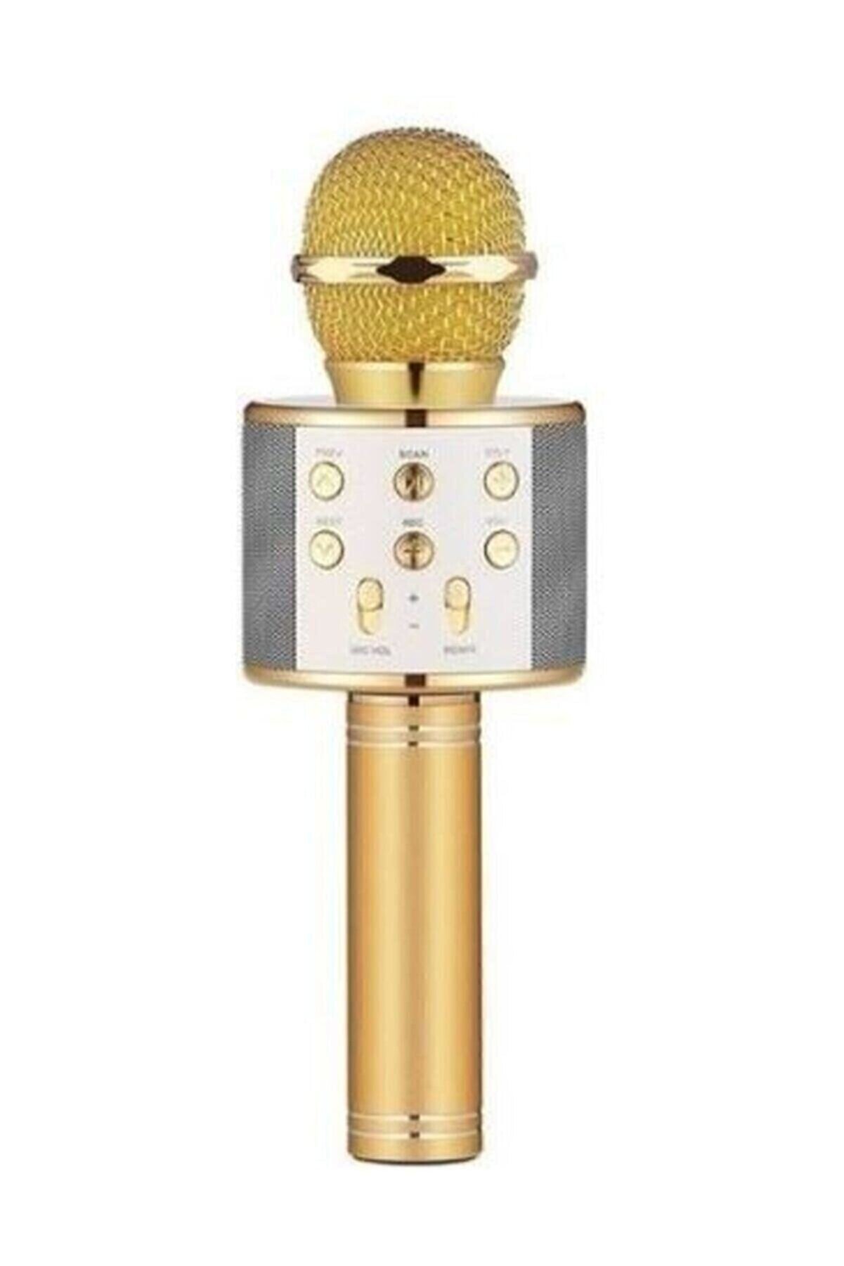 Wster Gold Kablosuz Karaoke Mikrofon Ws-858