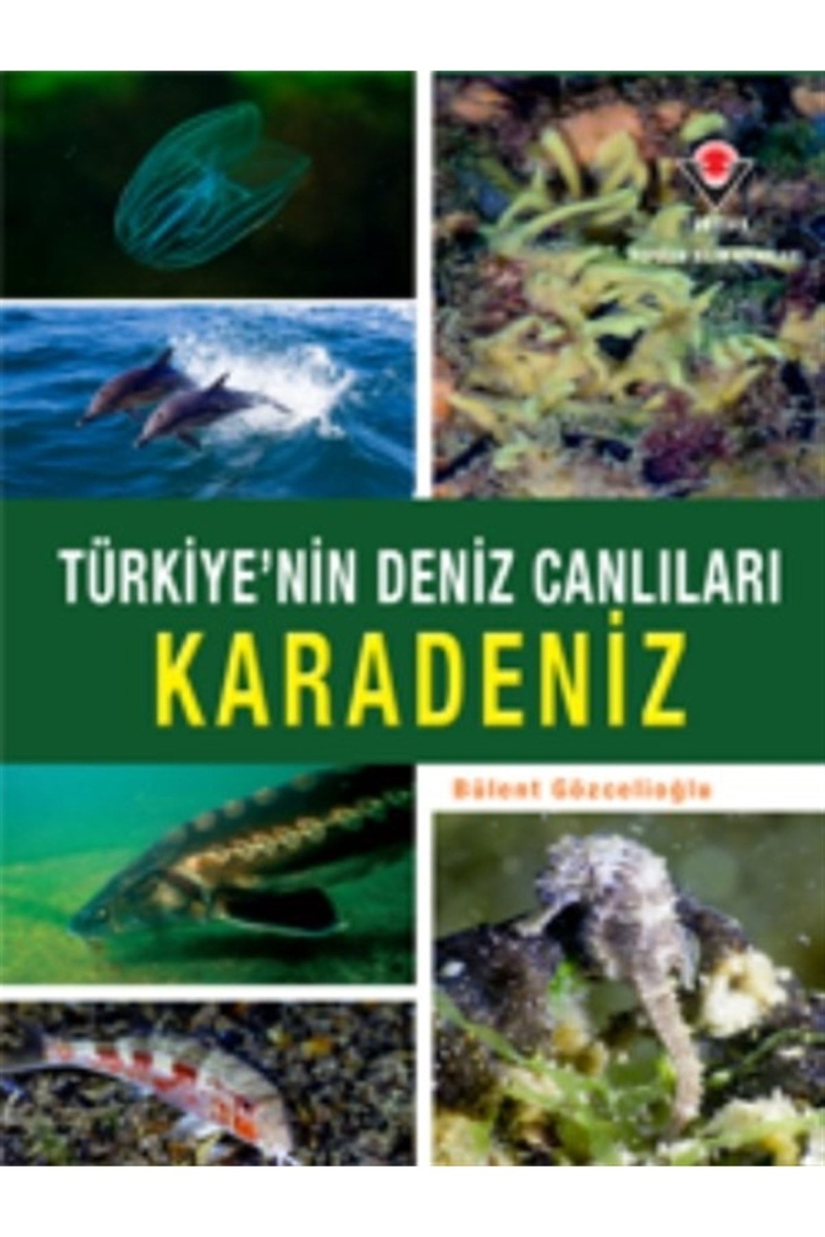 Tübitak Yayınları Karadeniz - Türkiye'nin Deniz Canlıları (ciltli) - - Bülent Gözcelioğlu Kitabı