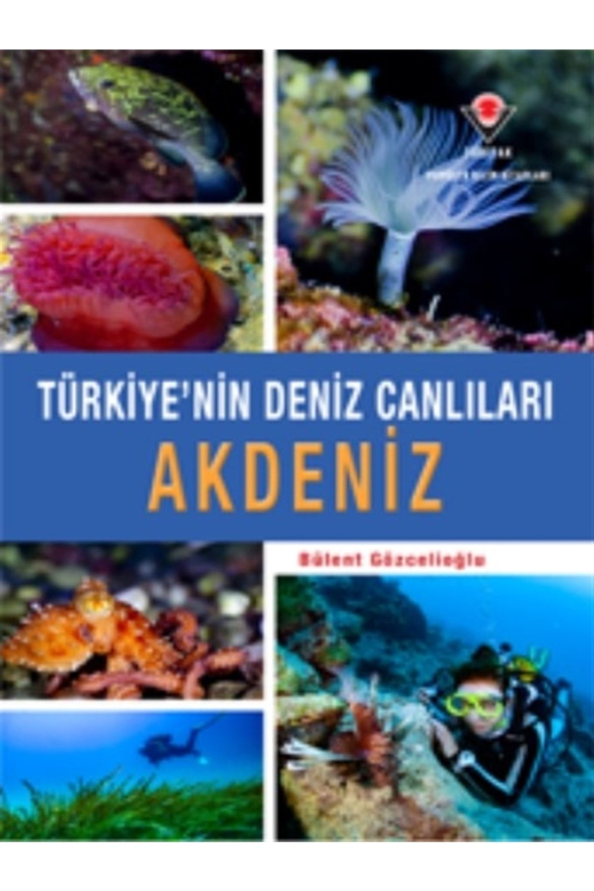 Tübitak Yayınları Türkiye'nin Deniz Canlıları Akdeniz Ciltli Kapak Kitap