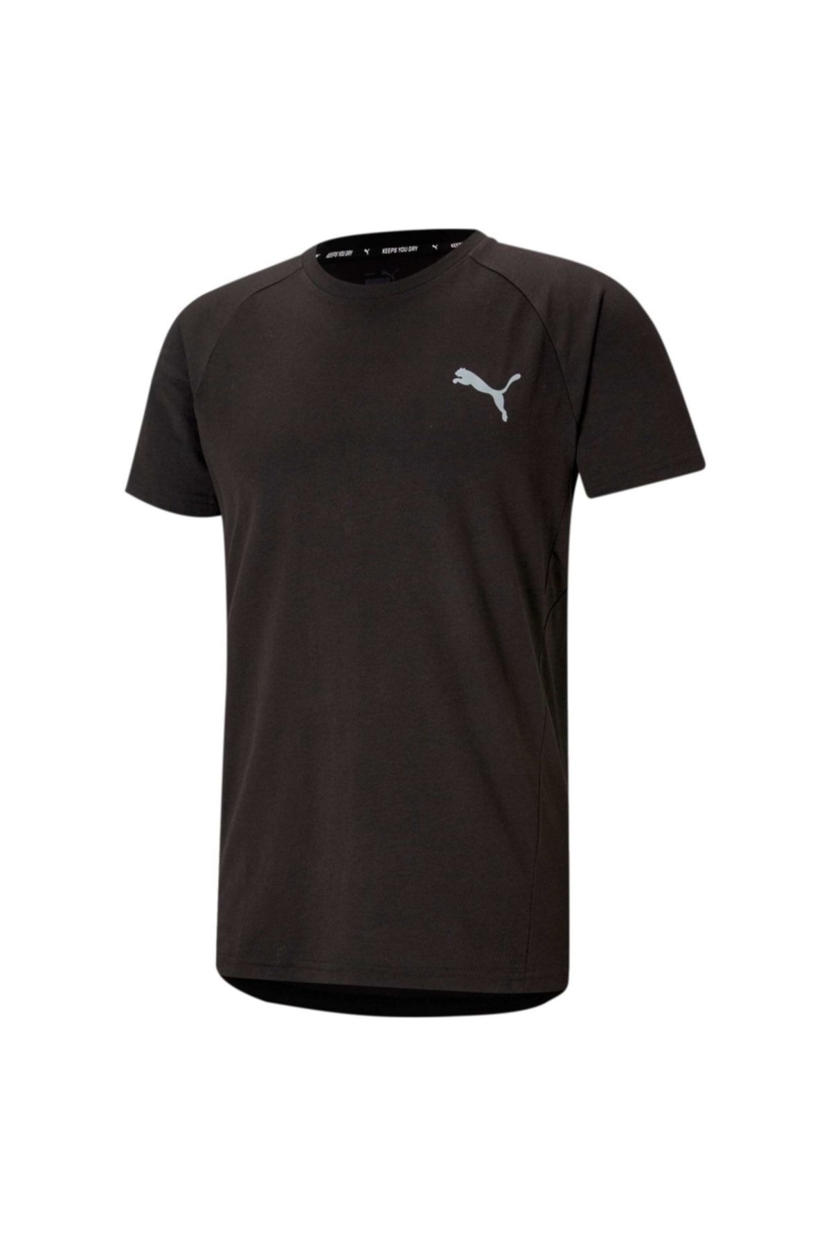 Puma EVOSTRIPE TEE Siyah Erkek T-Shirt 101085385