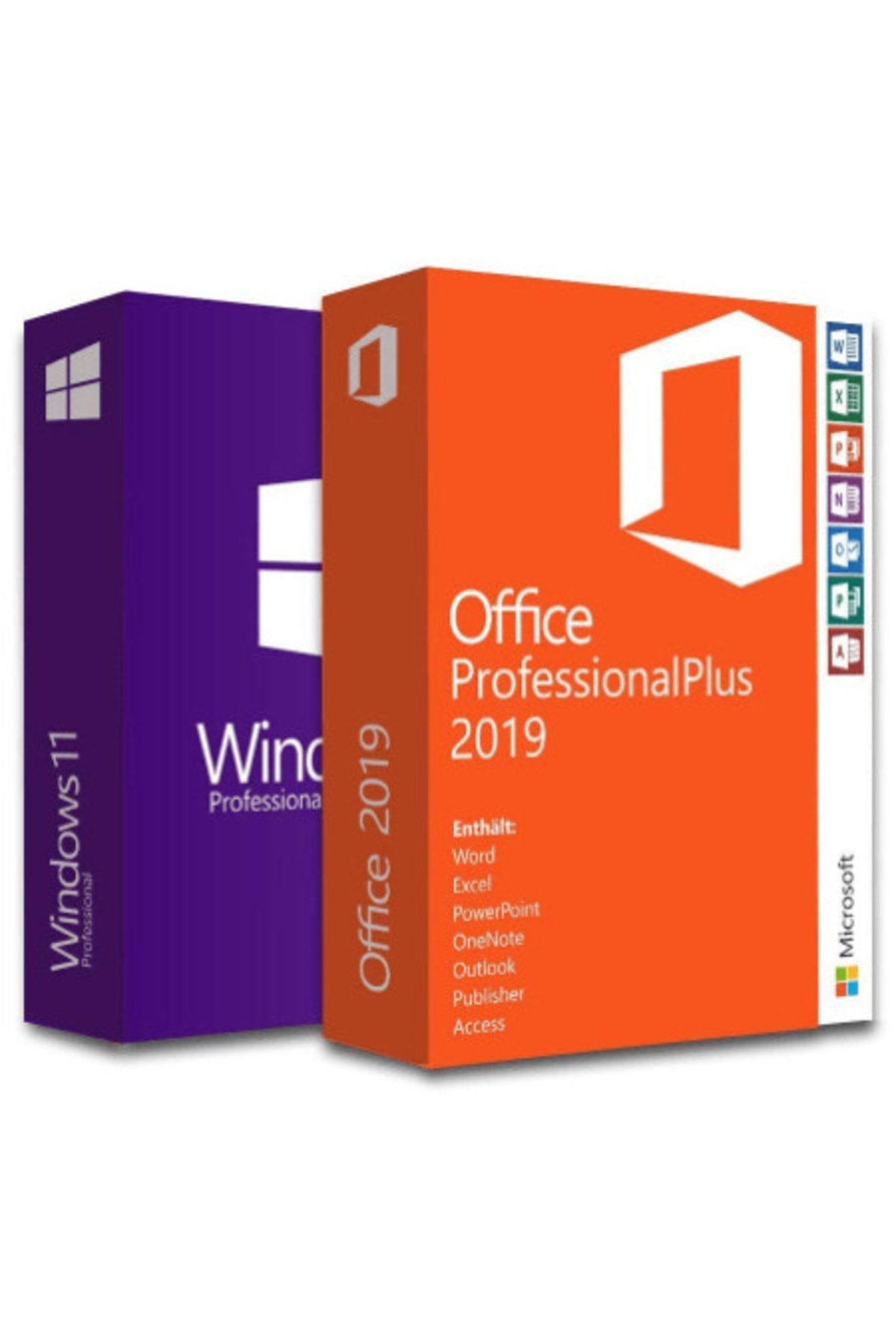 Microsoft Windows 11 Pro + Office 2019 Pro Plus