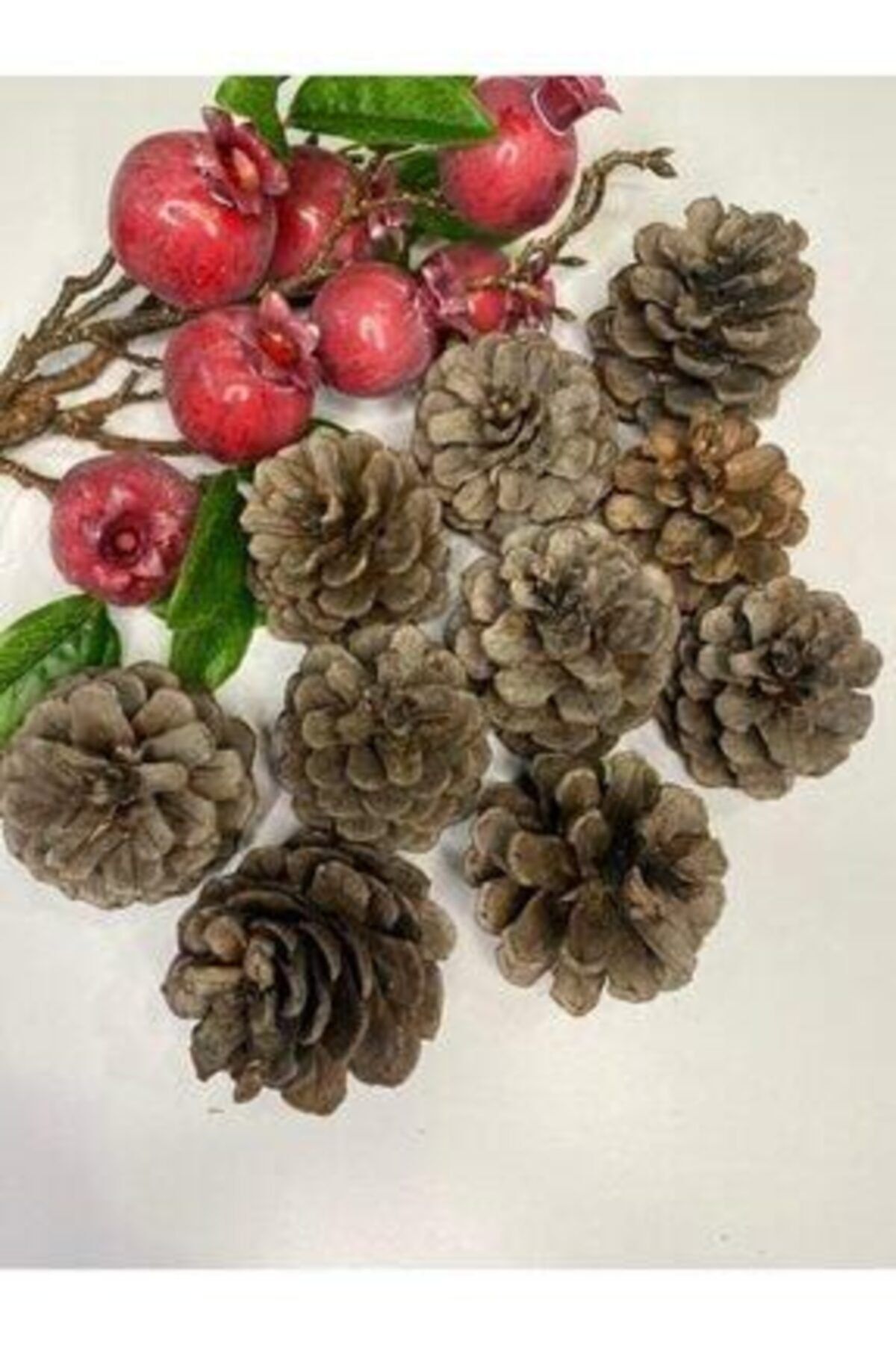 Genel Markalar 10lu Gerçek Kozalak Seti Çam Kozalak Yeniyıl Yılbaşı Christmas Dekor Süs