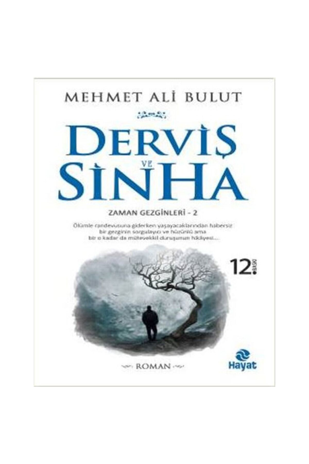 Hayat Yayınları Derviş Ve Sinha - Mehmet Ali Bulut -