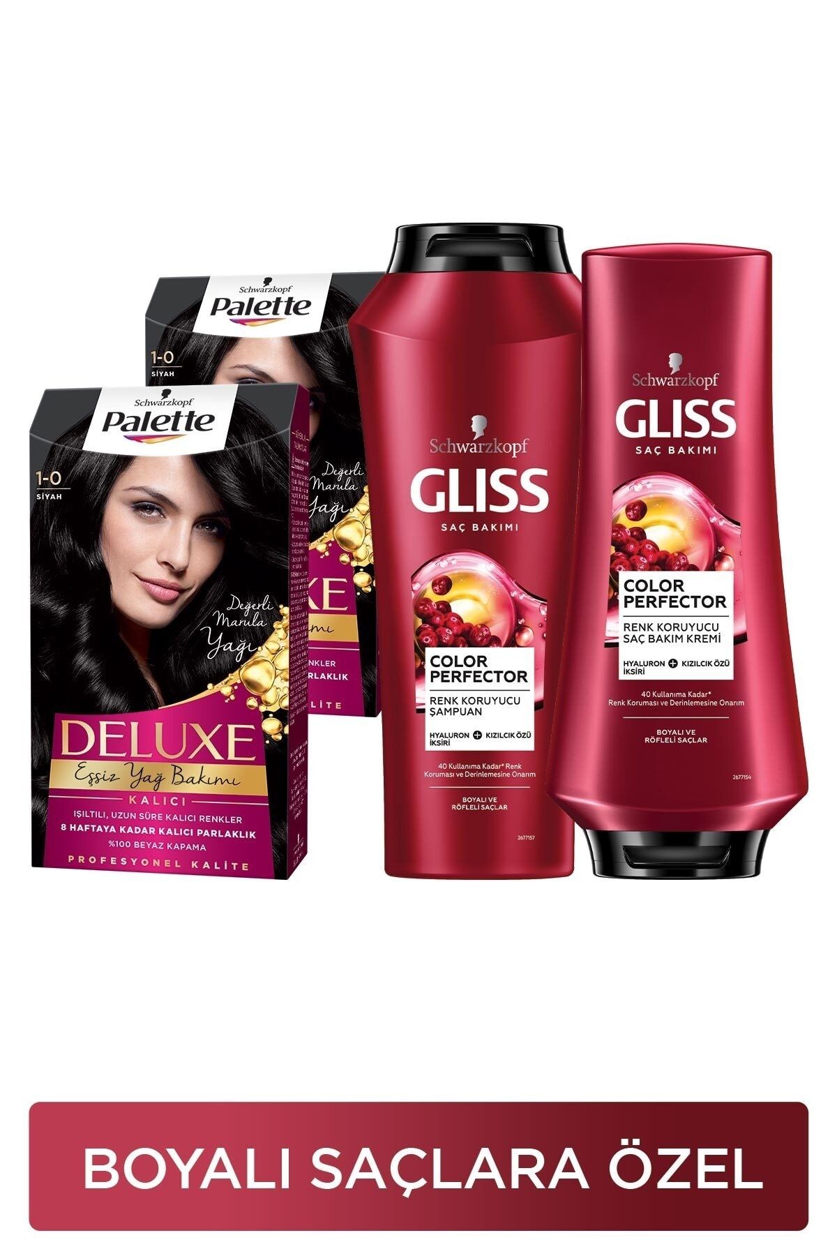Gliss Palette Deluxe 1-0 Siyah x 2 Adet + Color Perfector Renk Koruyucu Şampuan 500 Ml + Saç Kremi 3
