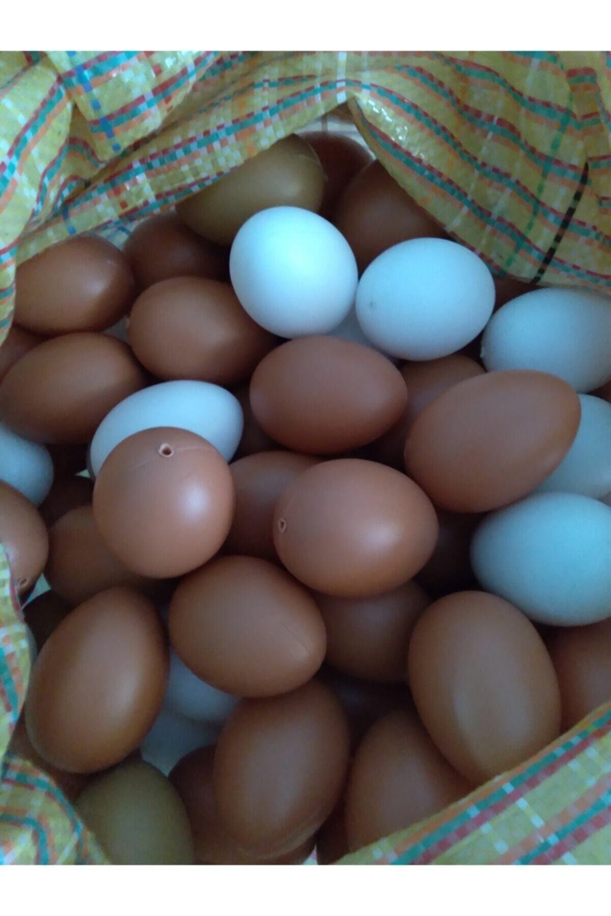 LİDER KÜMES EKİPMANLARI Sahte Tavuk Yumurtası 10 Adet