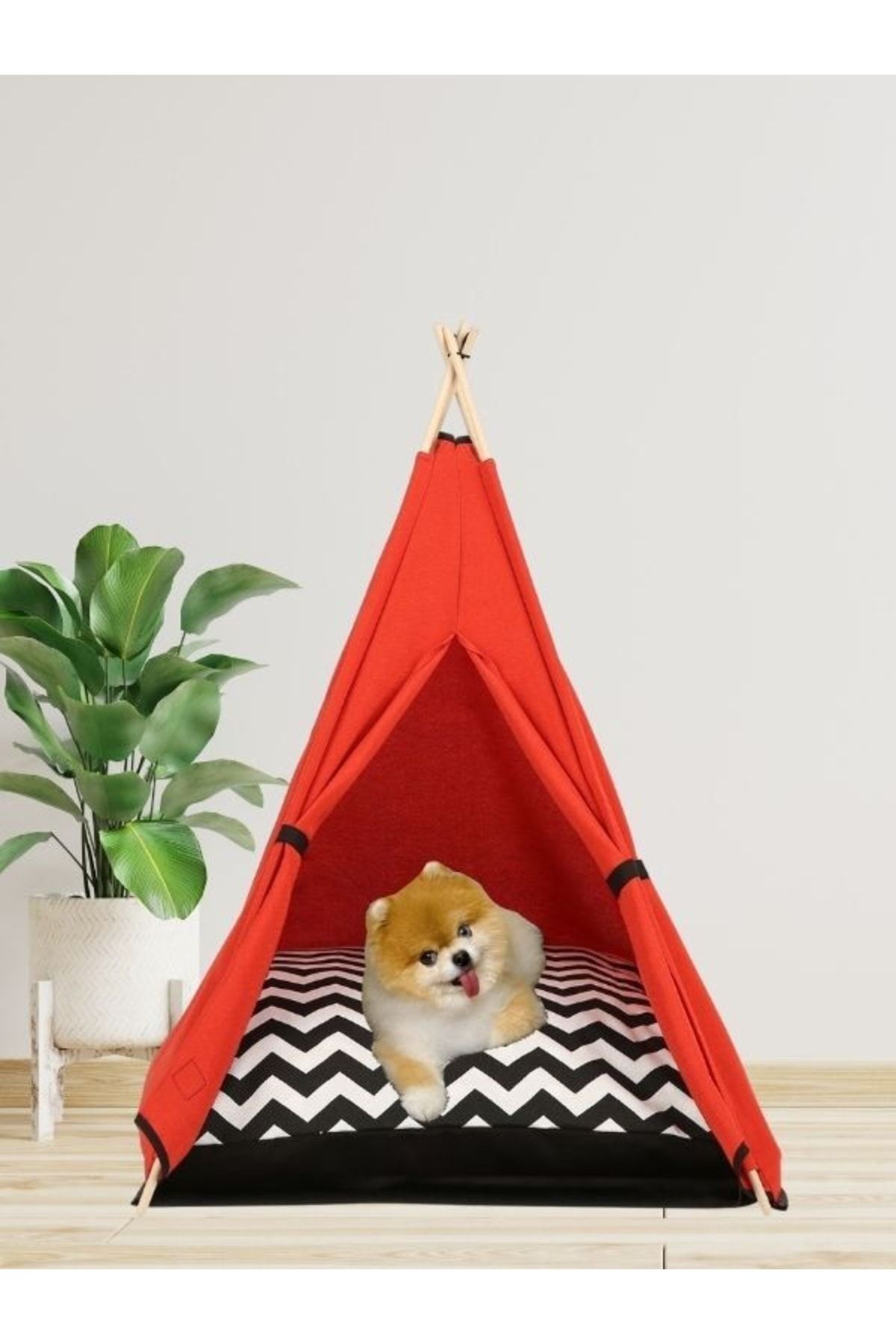 Teepee House 70-70cm Yataklı Köpek Çadırı
