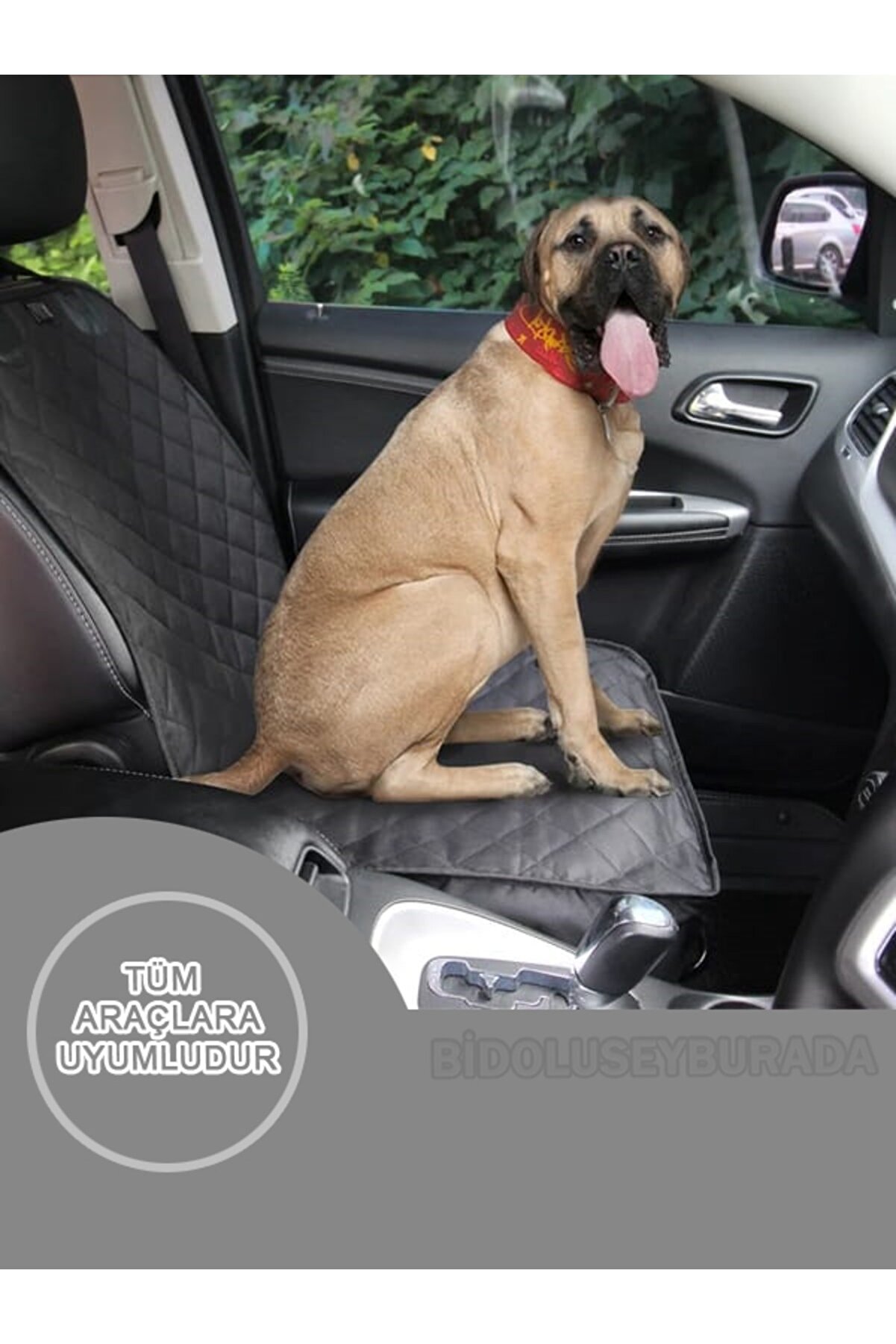 Ankaflex Araba Oto Araç Koltuk Kılıfı Örtüsü Sıvı Su Geçirmez Evcil Hayvan Kedi Köpek Ön Koltuk Örtü (1 ADET)