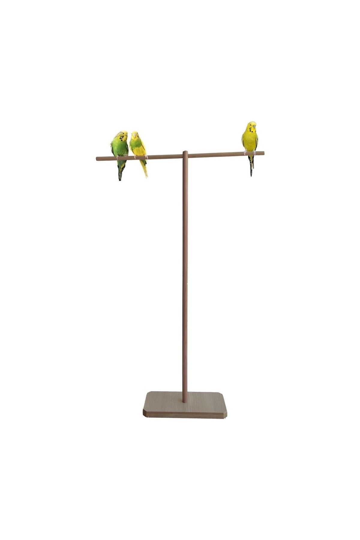 Marangozi Ahşap Muhabbet Kuşu Tüneği T Tünek 80cm