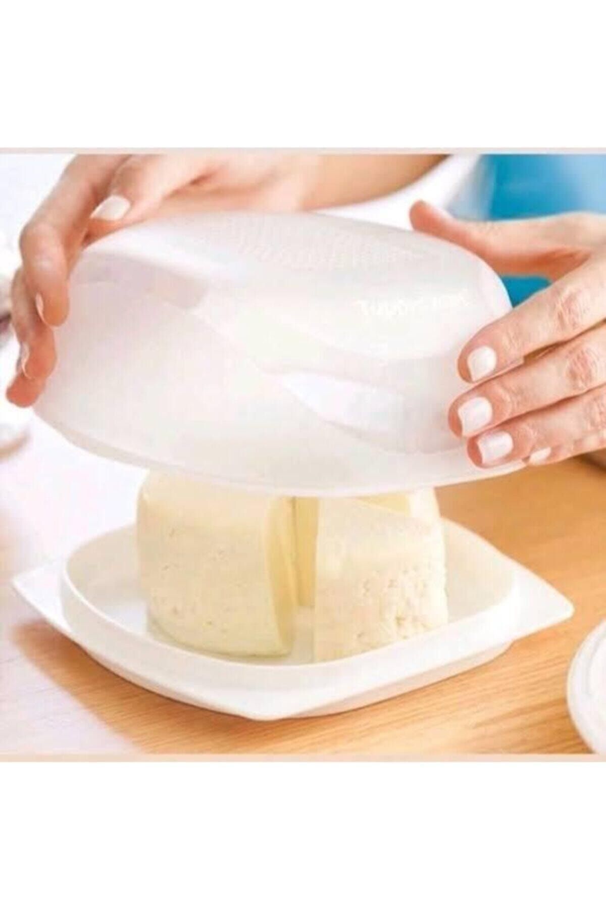 Tupperware Küçük (mini) Peynir Dünyası