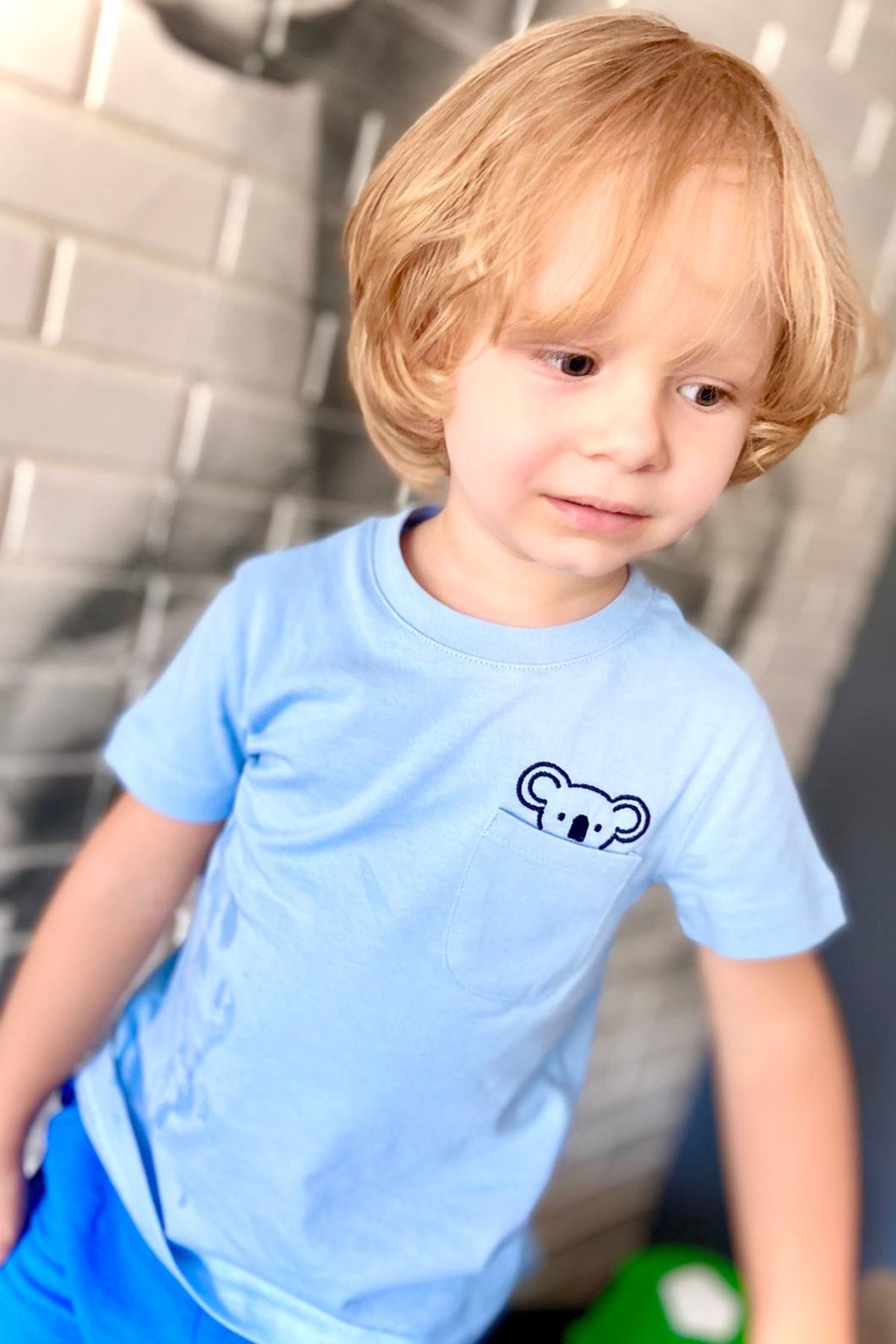 KUEZA KIDS Erkek Çocuk Koala Mavi Tshirt