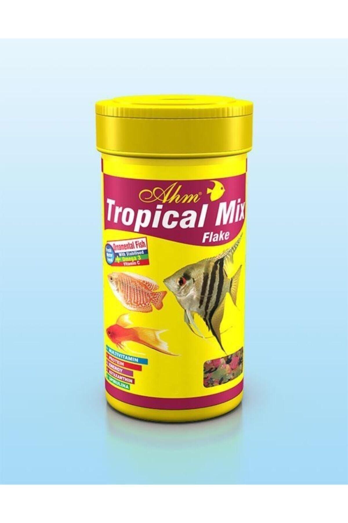 Ahm Tropical Mix Flake Pul Balık Yemi 250ml