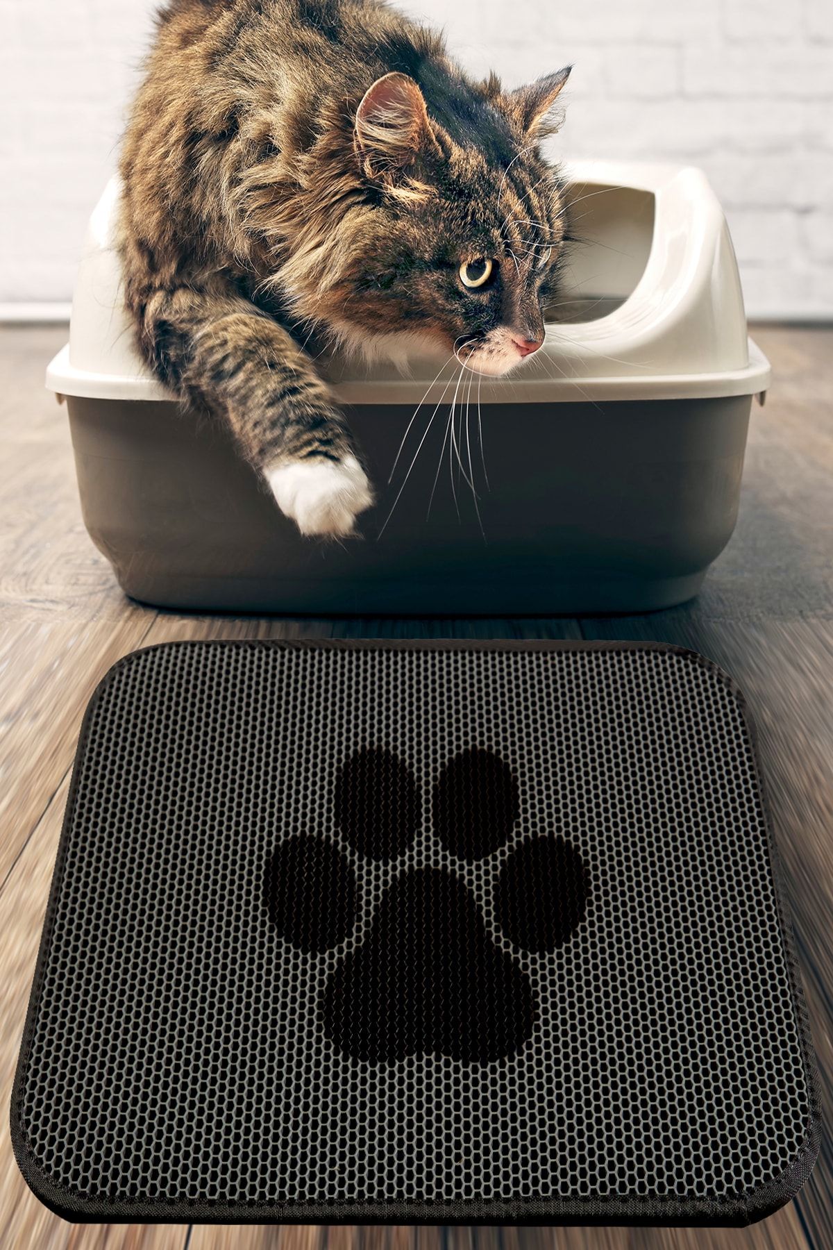 Chilai Home Cat Paw Kedi Kumu Paspası Gri Elekli Tuvalet Önü Paspası