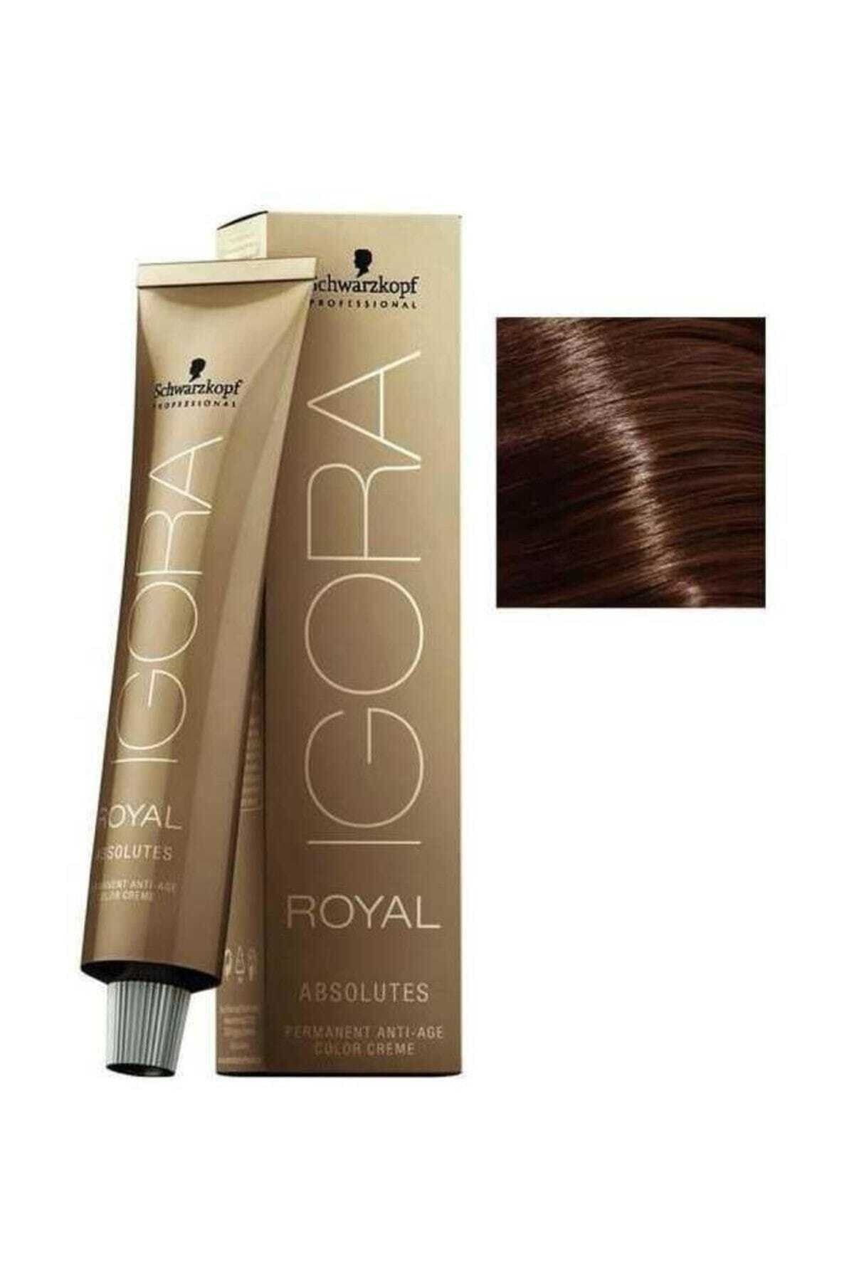 Igora Koyu Kumral Çikolata Doğal Royal Absolutes Saç Boyası 6-60 60 Ml 4045787282436
