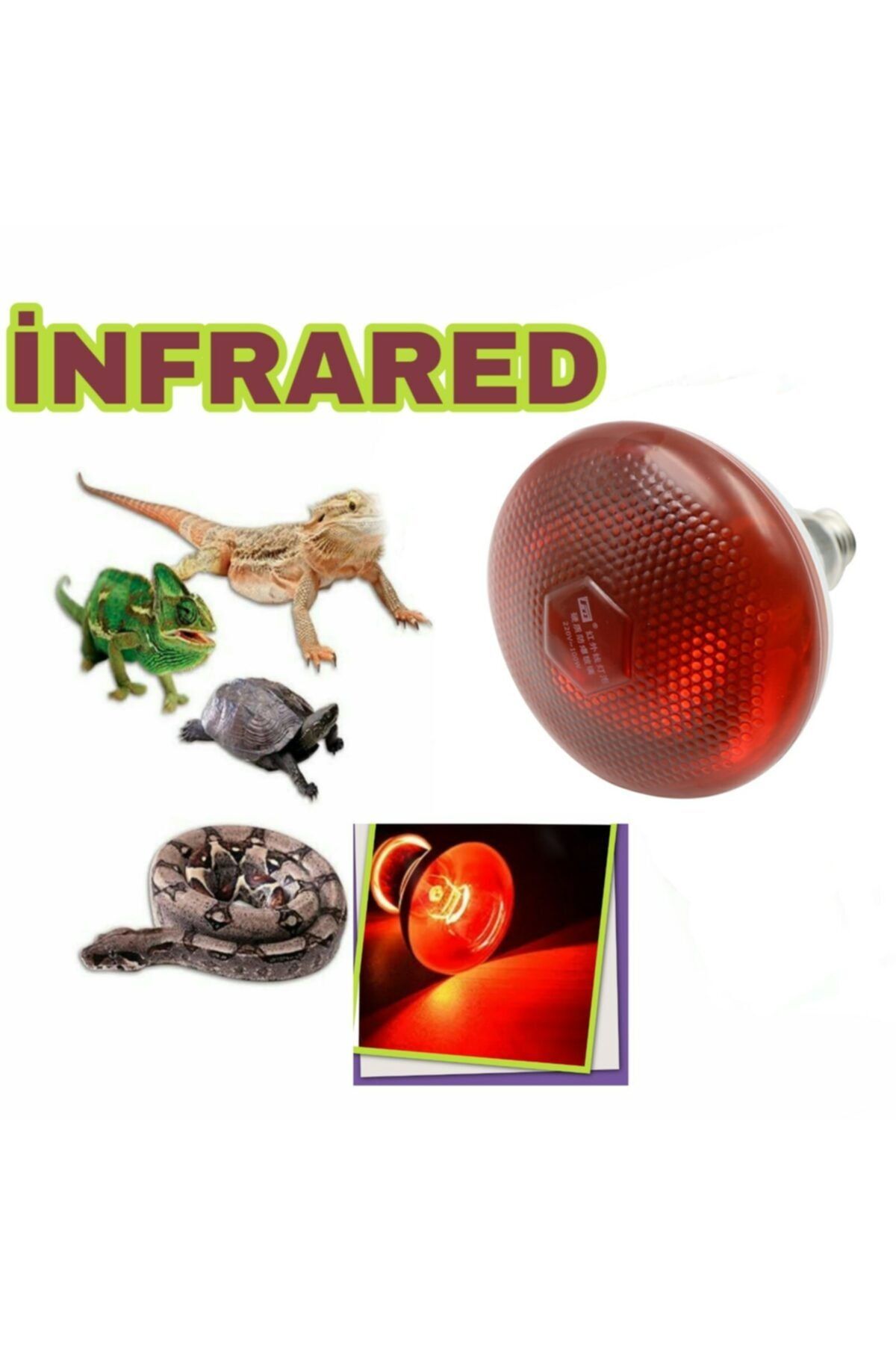 AKDEREPET Isıtıcı Lamba Infrared 250 Watt Lamba