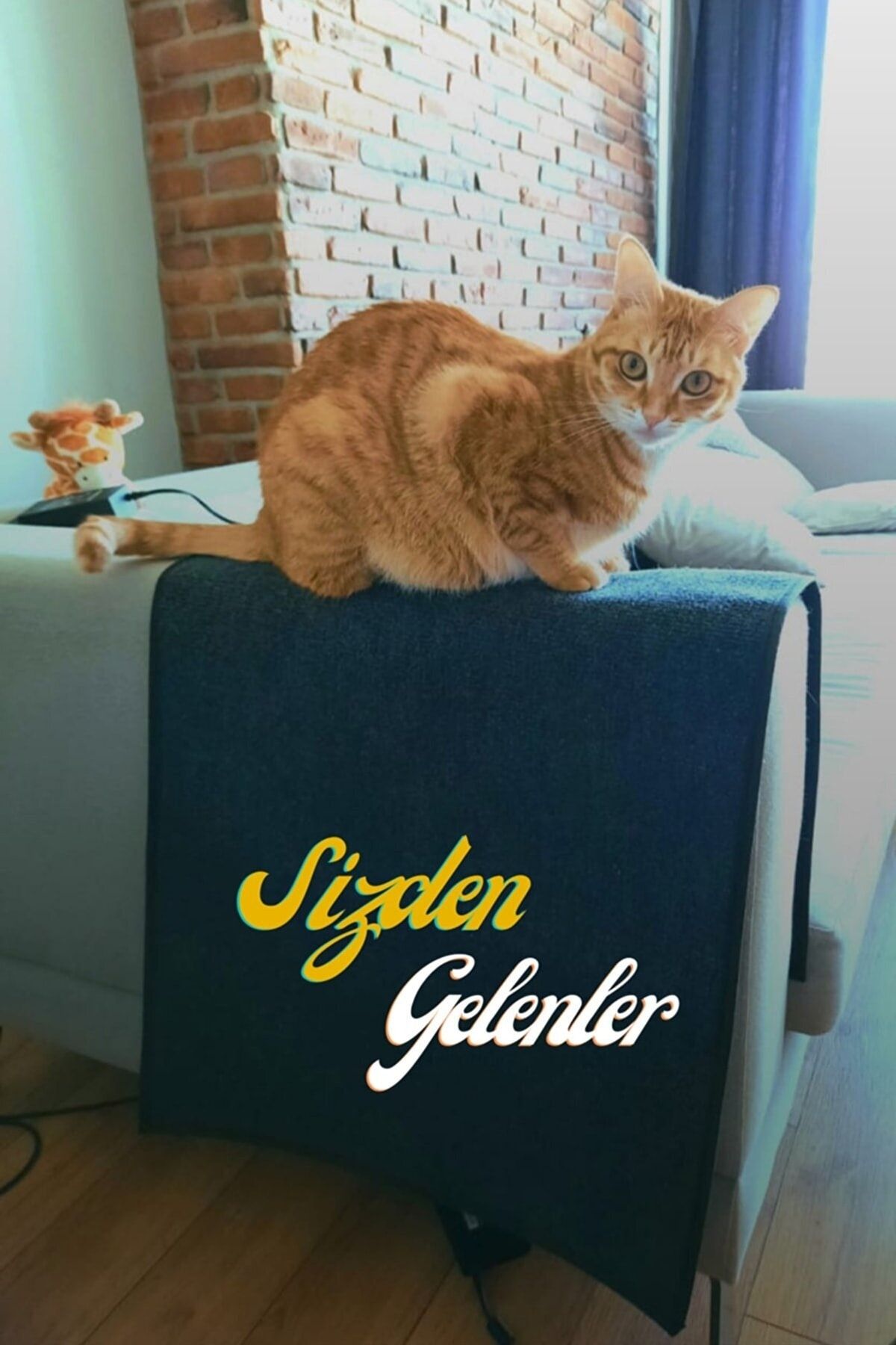 BYPET Kedi Tırmalama Halısı Koltuk Kenarı Koruyucu 50cmx100cm