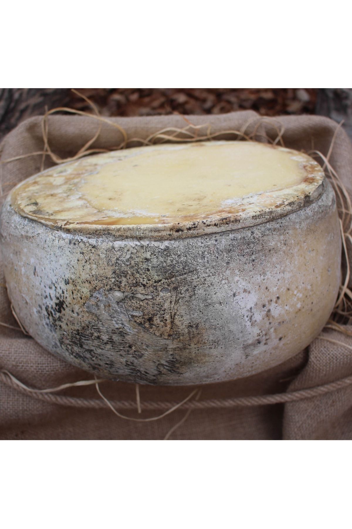 ESKİ TAT Eski Kaşar Peyniri ( Kars Kaşarı) 12kg-13kg