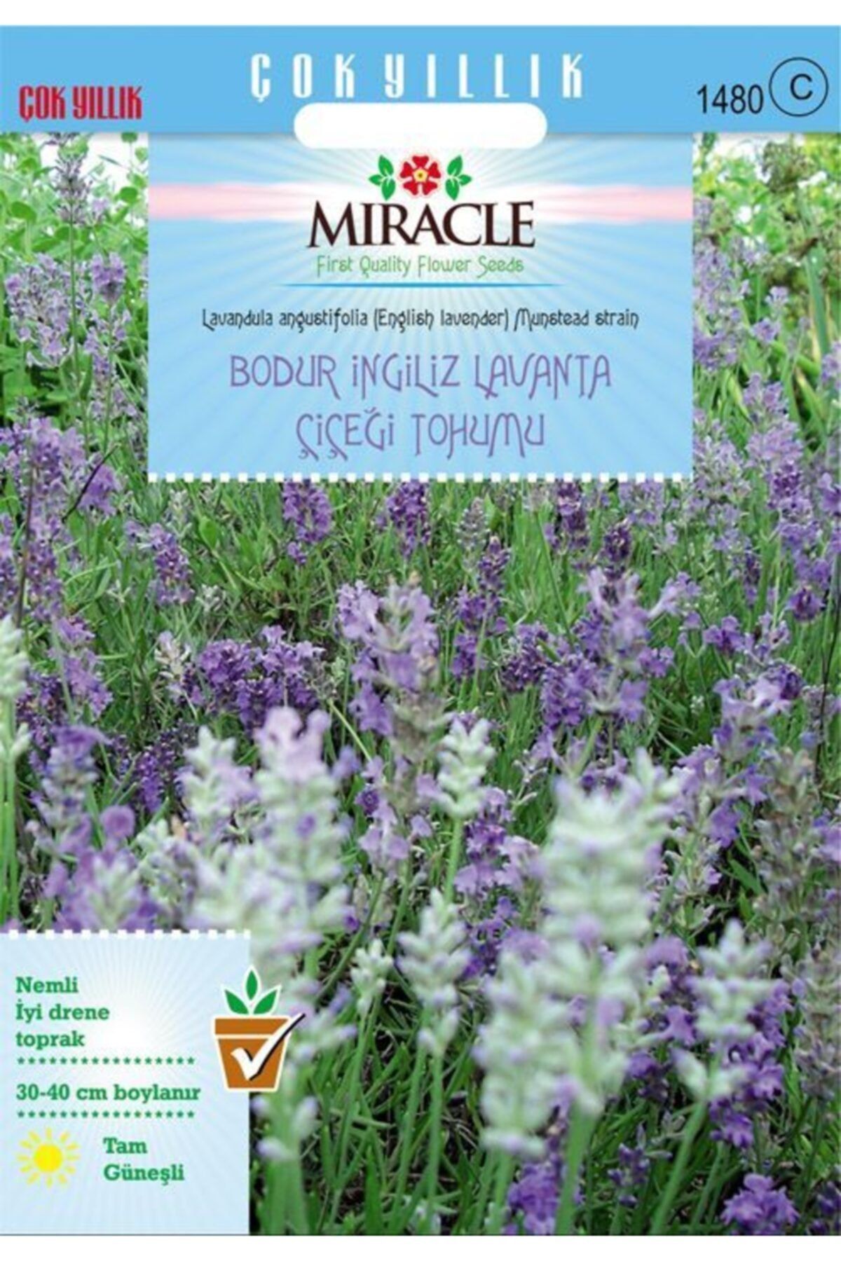 Miracle Tohum Miracle Munstead Strain Bodur Ingiliz Lavanta Çiçeği Tohumu (95 Tohum)
