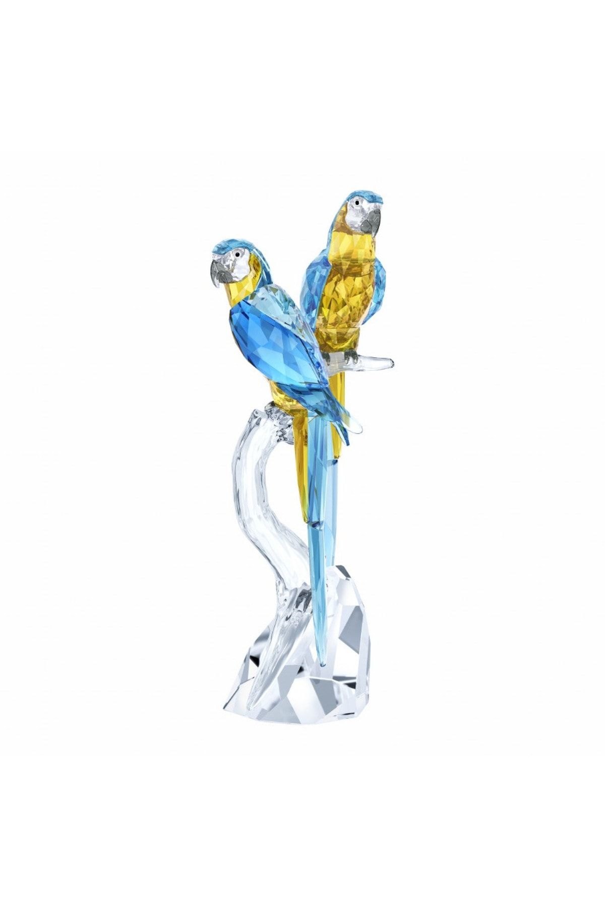 Swarovski Biblo Macaws 5301566