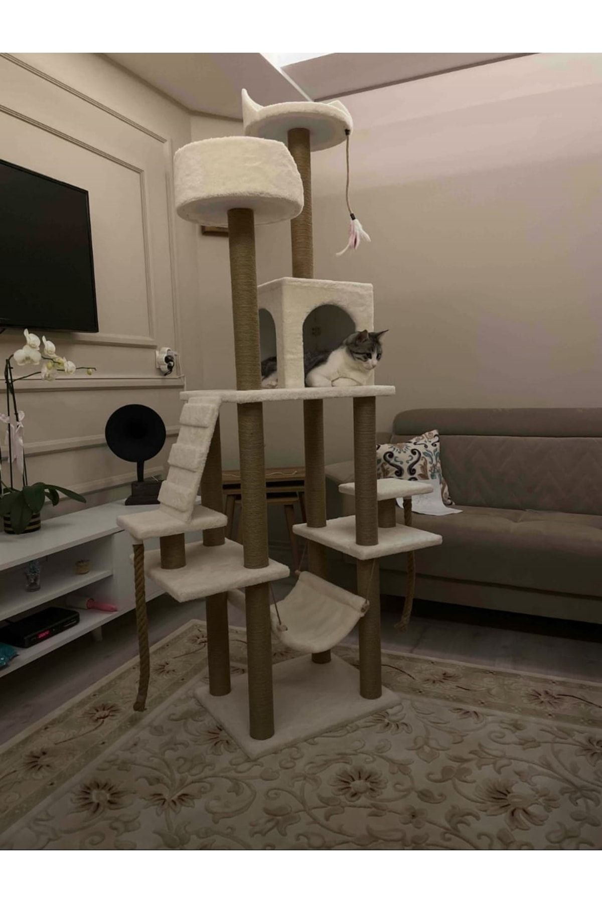 pethomealpi - Şato Çok Katlı Yuvalı Kedi Tırmalama Ve Oyun Platformu