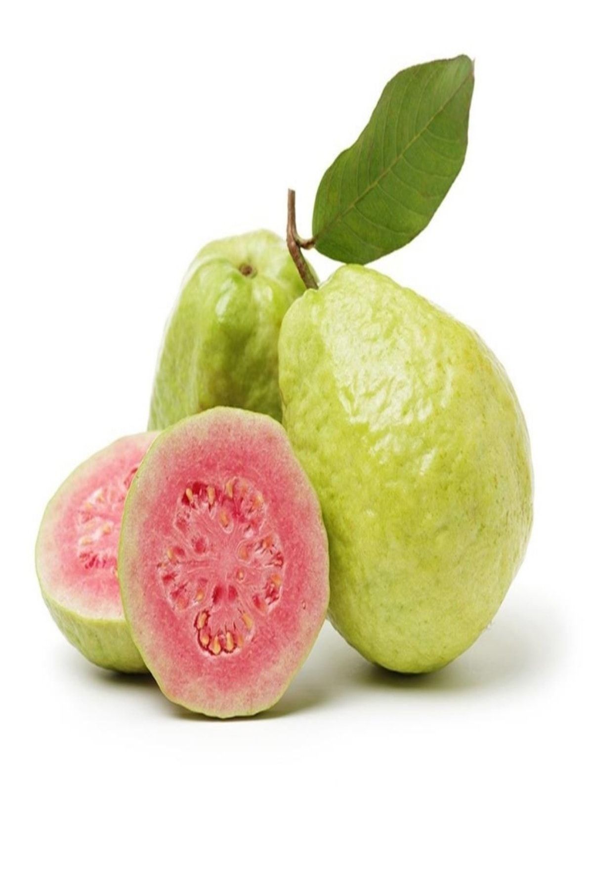 EvveBahce Tüplü Nadir Armut Guava Fidanı Meyve Verme Yaşında