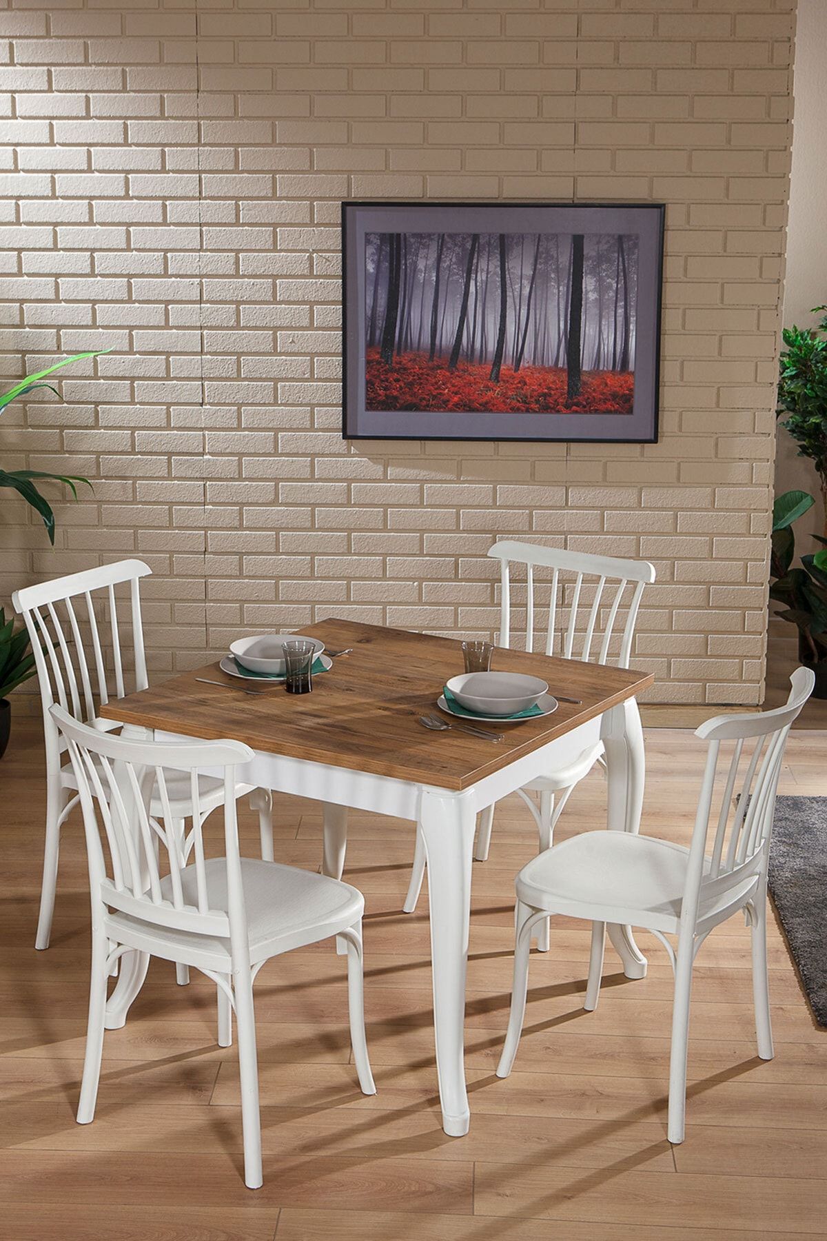 SANDALİE Violet Beyaz / Sirius Sabit Masa - 4 Sandalye 1 Masa / Salon - Mutfak Masa Takımı