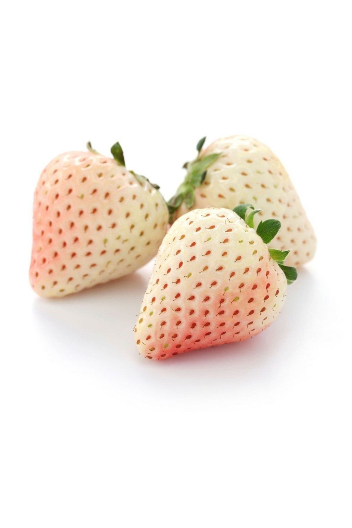 Fidanyolu Beyaz Çilek Fidesi Pineberry 1 Adet