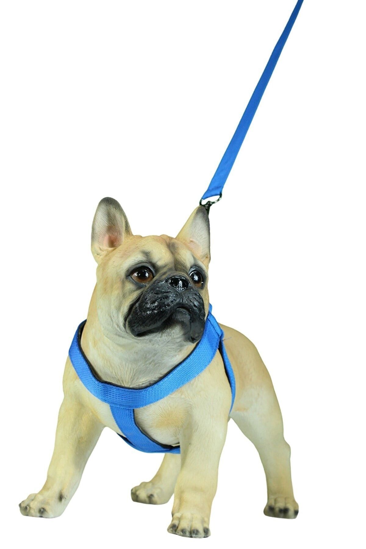 BYPET Köpek Tasması Soft Tabanlı Güvenli Ve Konforlu Köpek Göğüs Tasması Seti