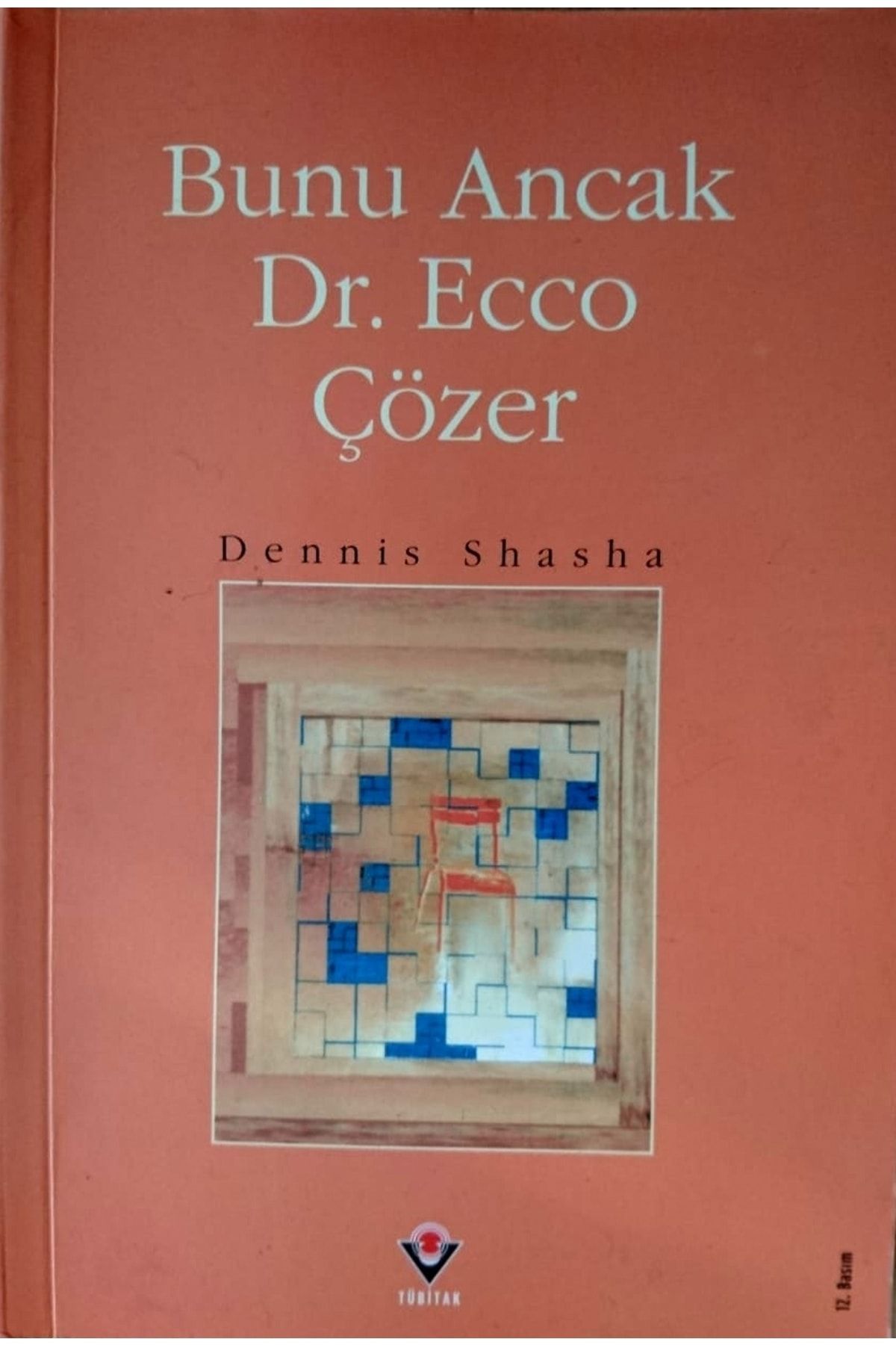 Tübitak Yayınları Bunu Ancak Dr. Ecco Çözer - Dennıs Shasha