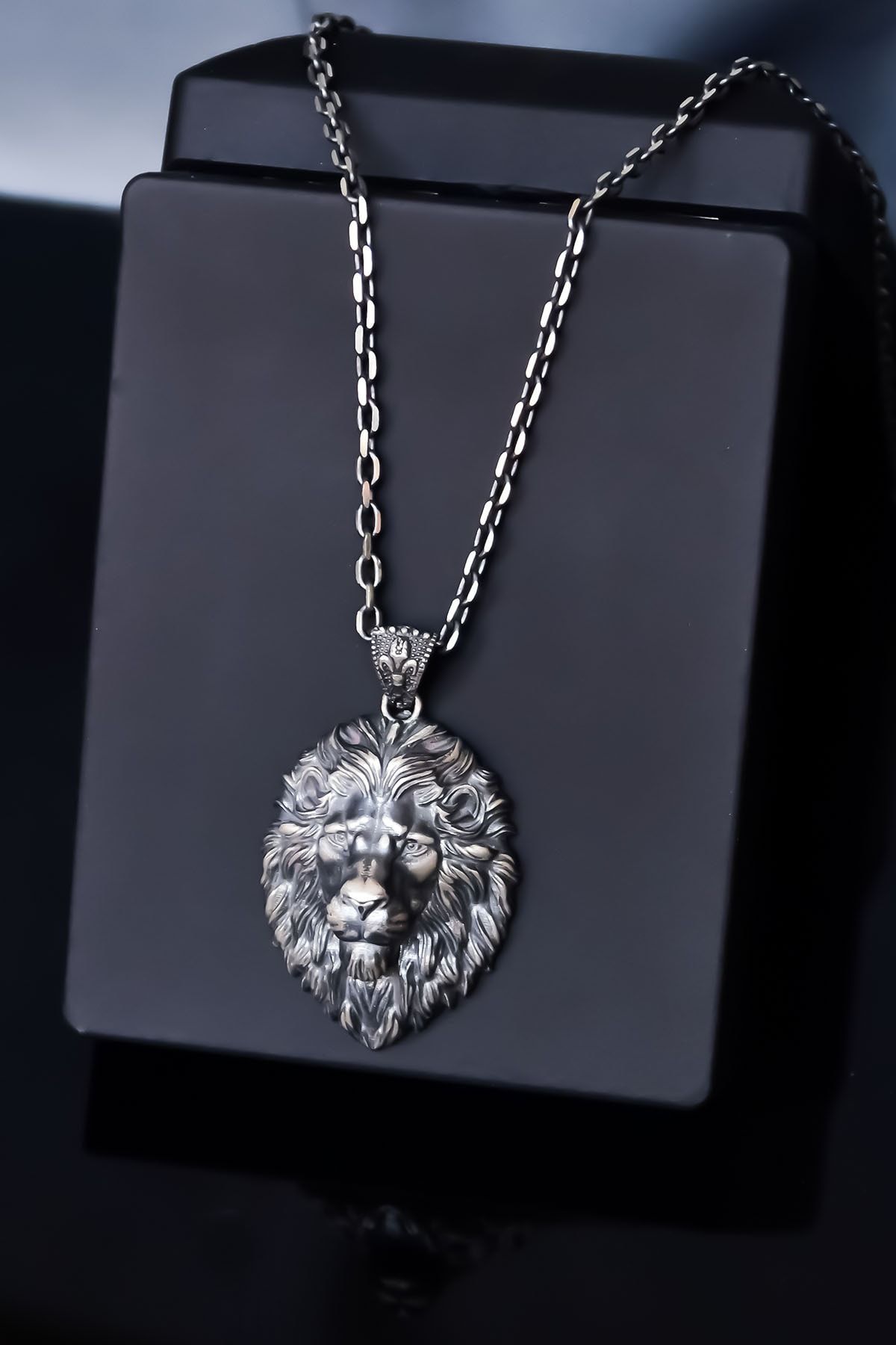 Papatya Silver 925 Ayar Gümüş Siyah Oksitli Madalyon Aslan Figürlü Erkek Kolye