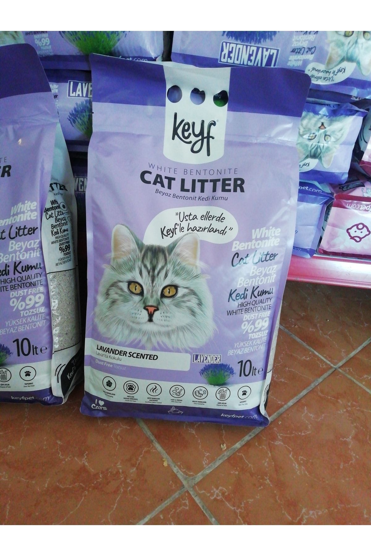 Kedi Kumu_0