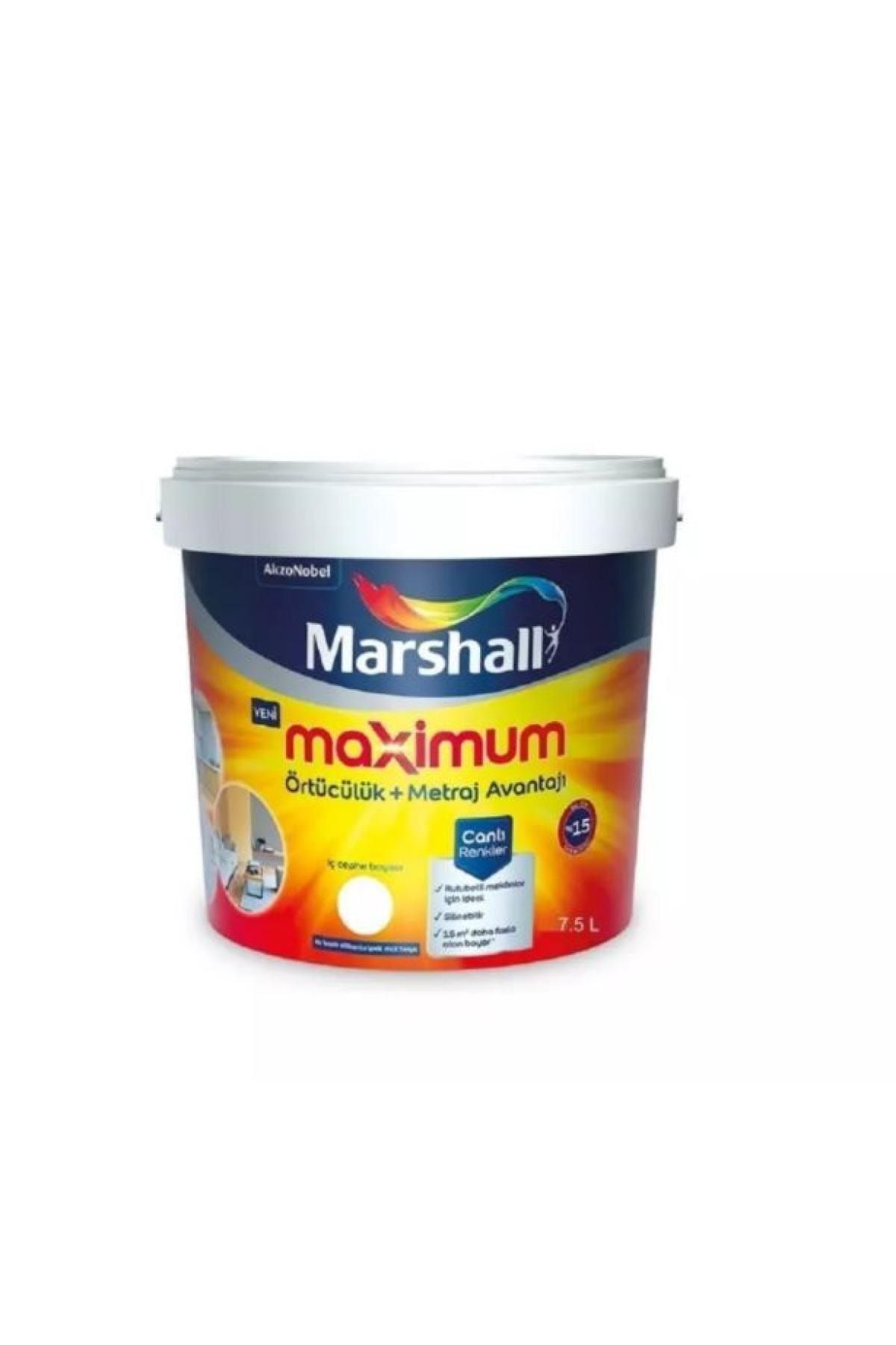 Marshall Maximum Silikonlu Ipek Mat Deniz Kabuğu 7,5 L
