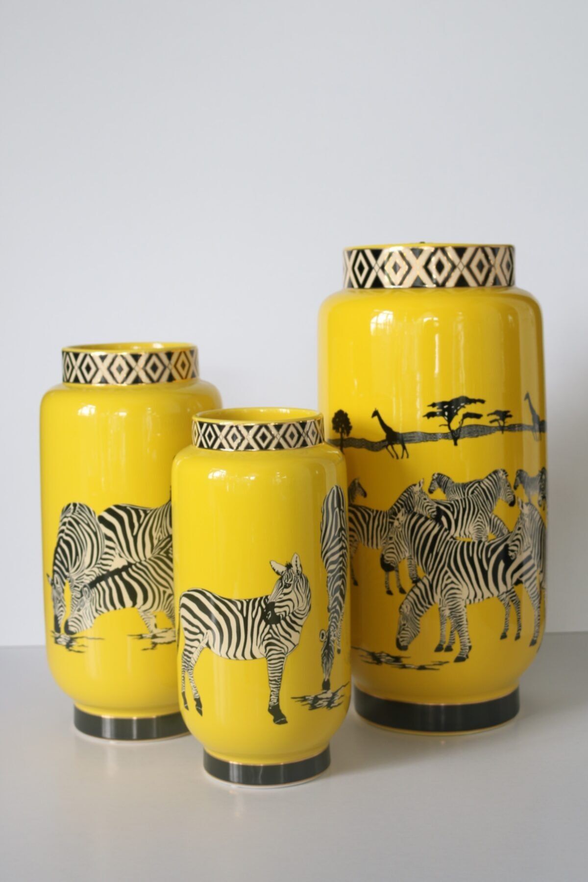 Artzen Design Zebra Desenli 3'lü Sarı Vazo