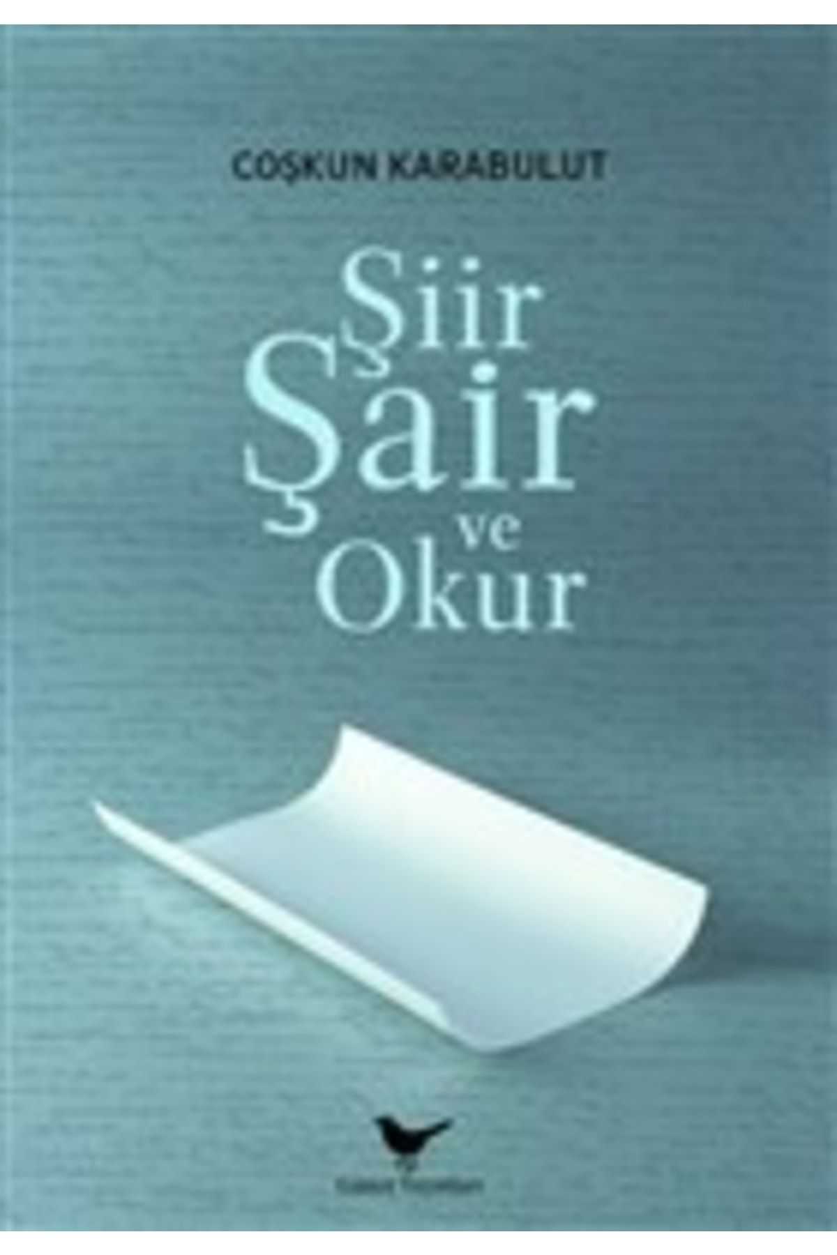 Günçe Yayınları Şiir, Şair Ve Okur