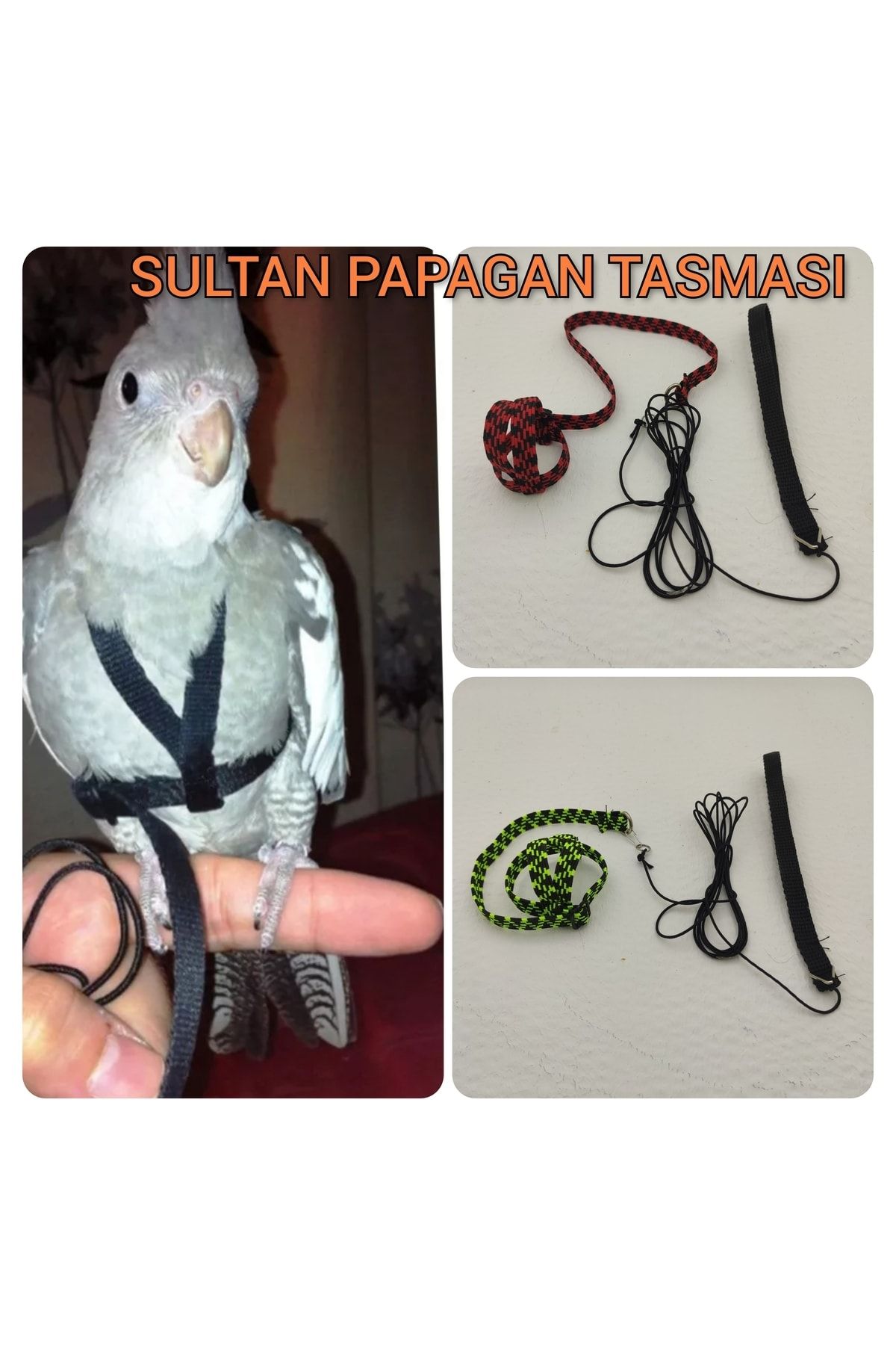 ozzipetshop Sultan Papaganı Tasmasi