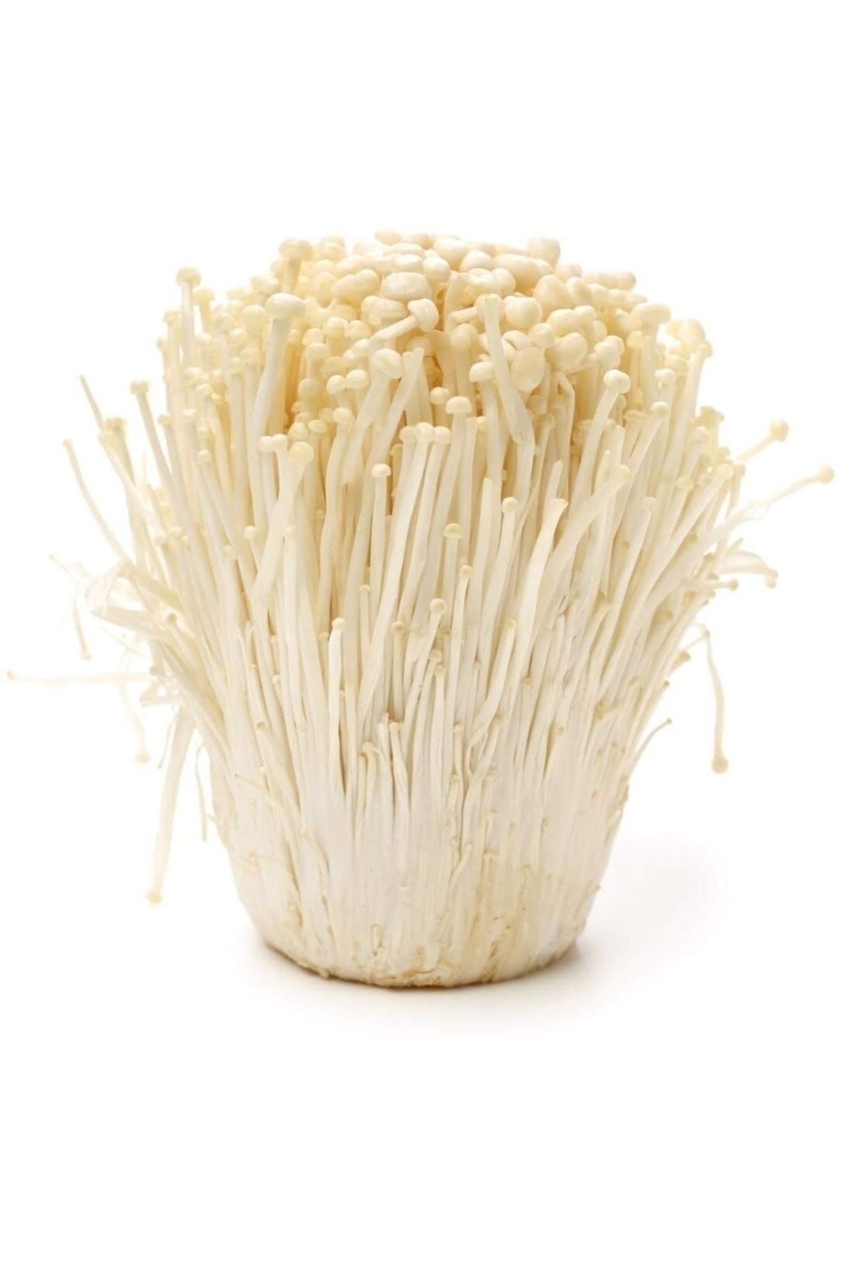 Sunstar Enoki Mantar / Enoki Mushroom 400gr