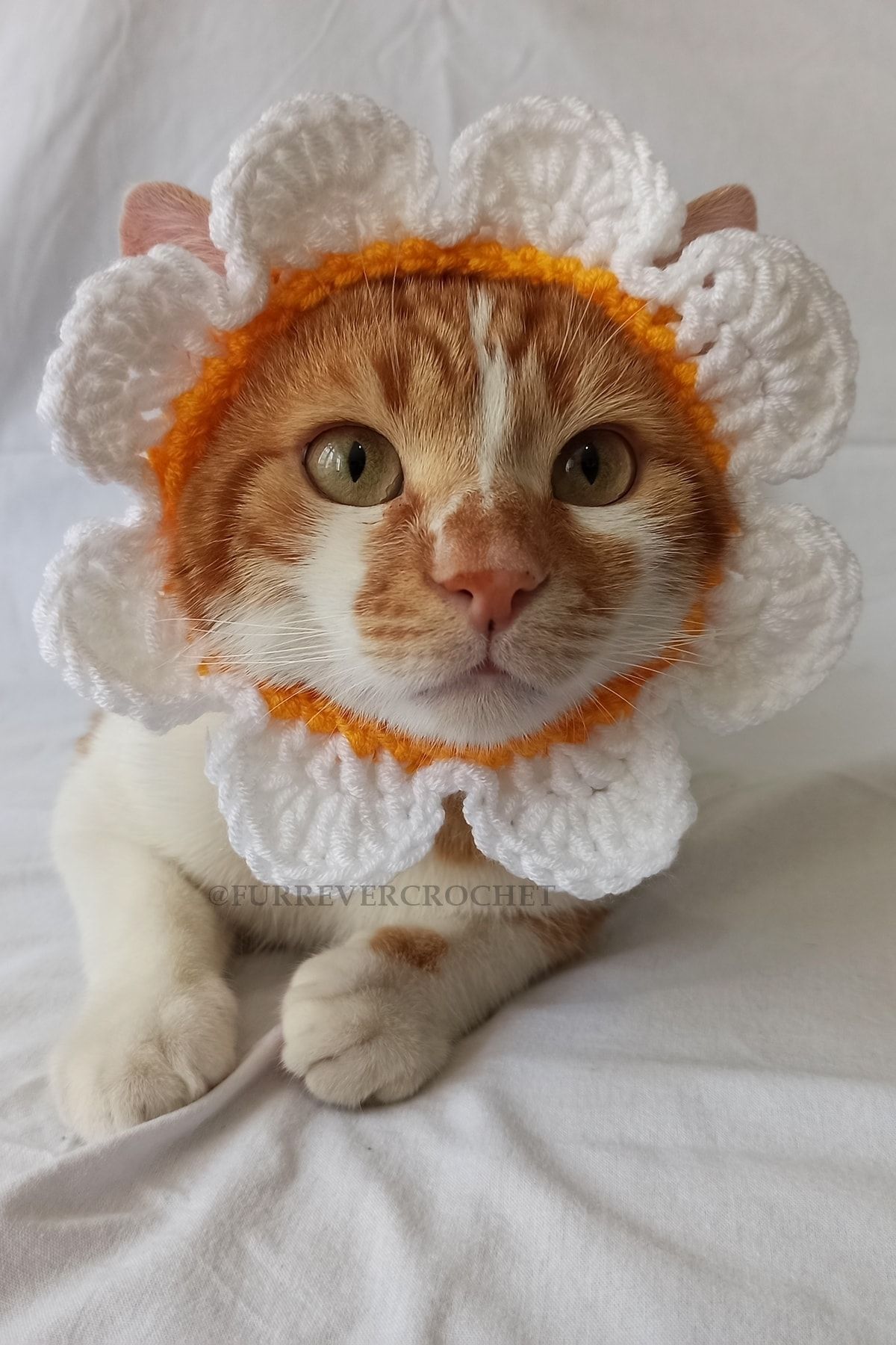 Furrever Crochet Papatya Bandana Çiçek Yazlık Örgü Kedi Köpek Şapkası Evcil Hayvan Şapkası Pet Aksesuarları