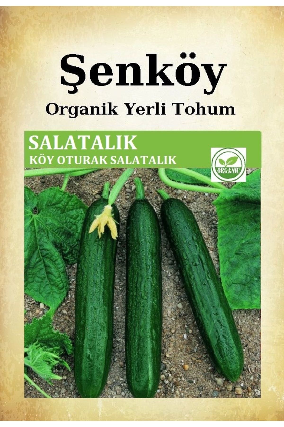 Şenköy Yerli Köy Salatalık Tohumu Doğal Ata Köy Hıyar Tohumu Pakette 10 Gr 350 Tohum